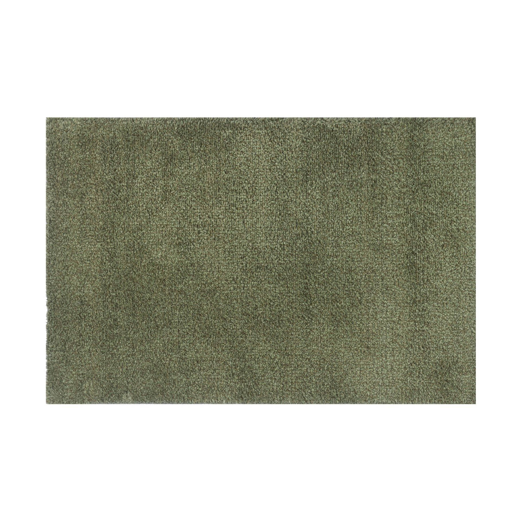 Fußmatte Kräutergrün Schmutzfangmatte waschbar verschiedene Größen Floornovo Natur Schmutzfang