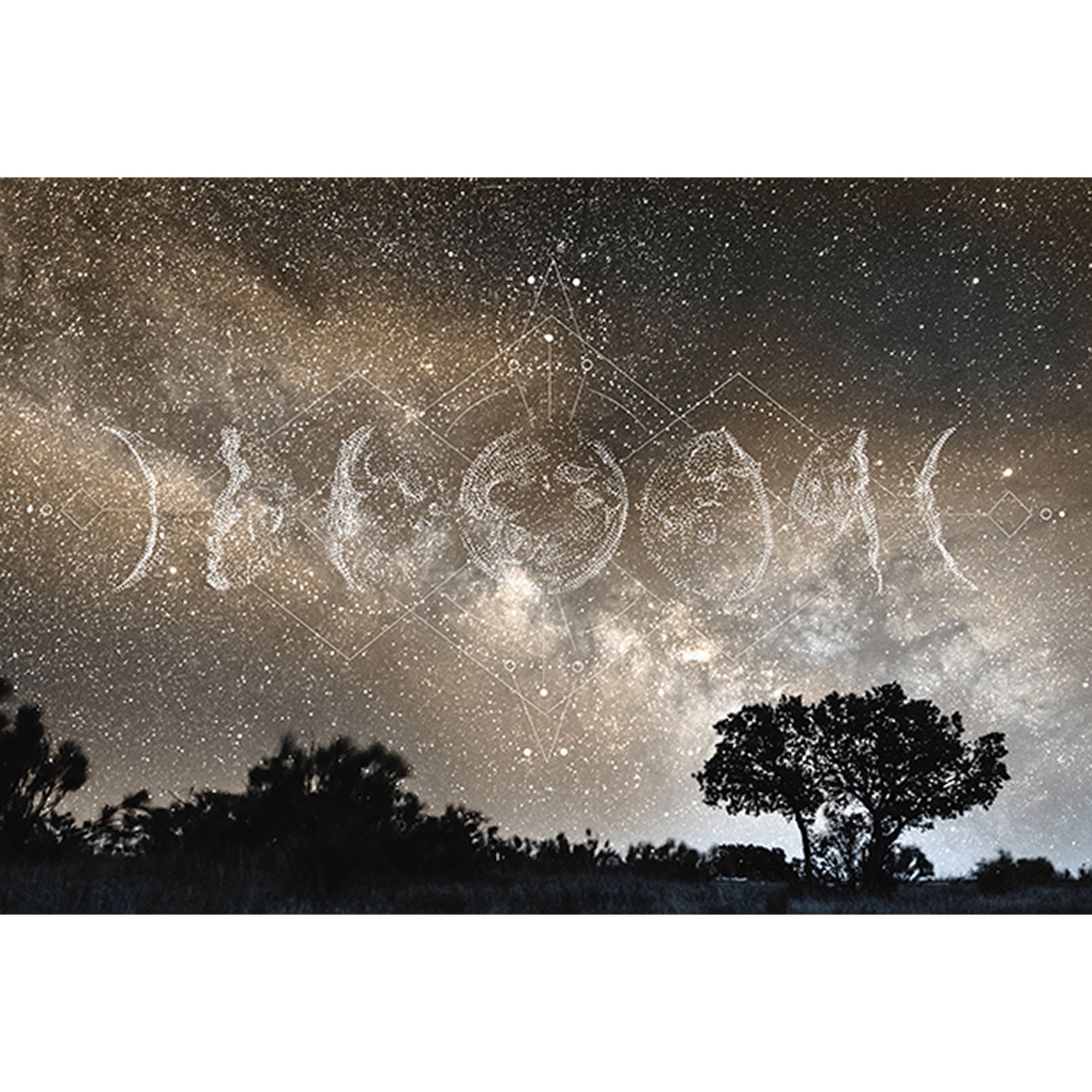 Tadessi Fototapete Himmel M1-No.60199 Digitaldruck Tapete Gelb Schwarz - Mond Wald