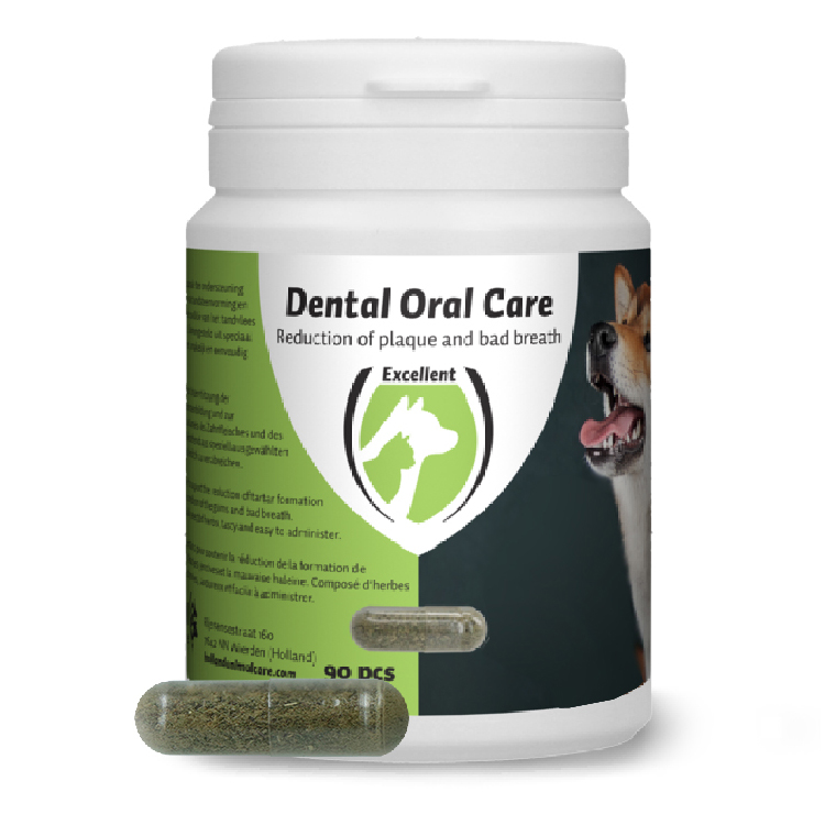 Excellent | Pflege & Hygiene | Dental Oral Care Hund | Nahrungsergänzung | 90 Tabl.