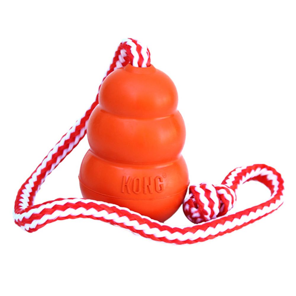 Kong | Apportieren | Wasser | Seil | Orange
