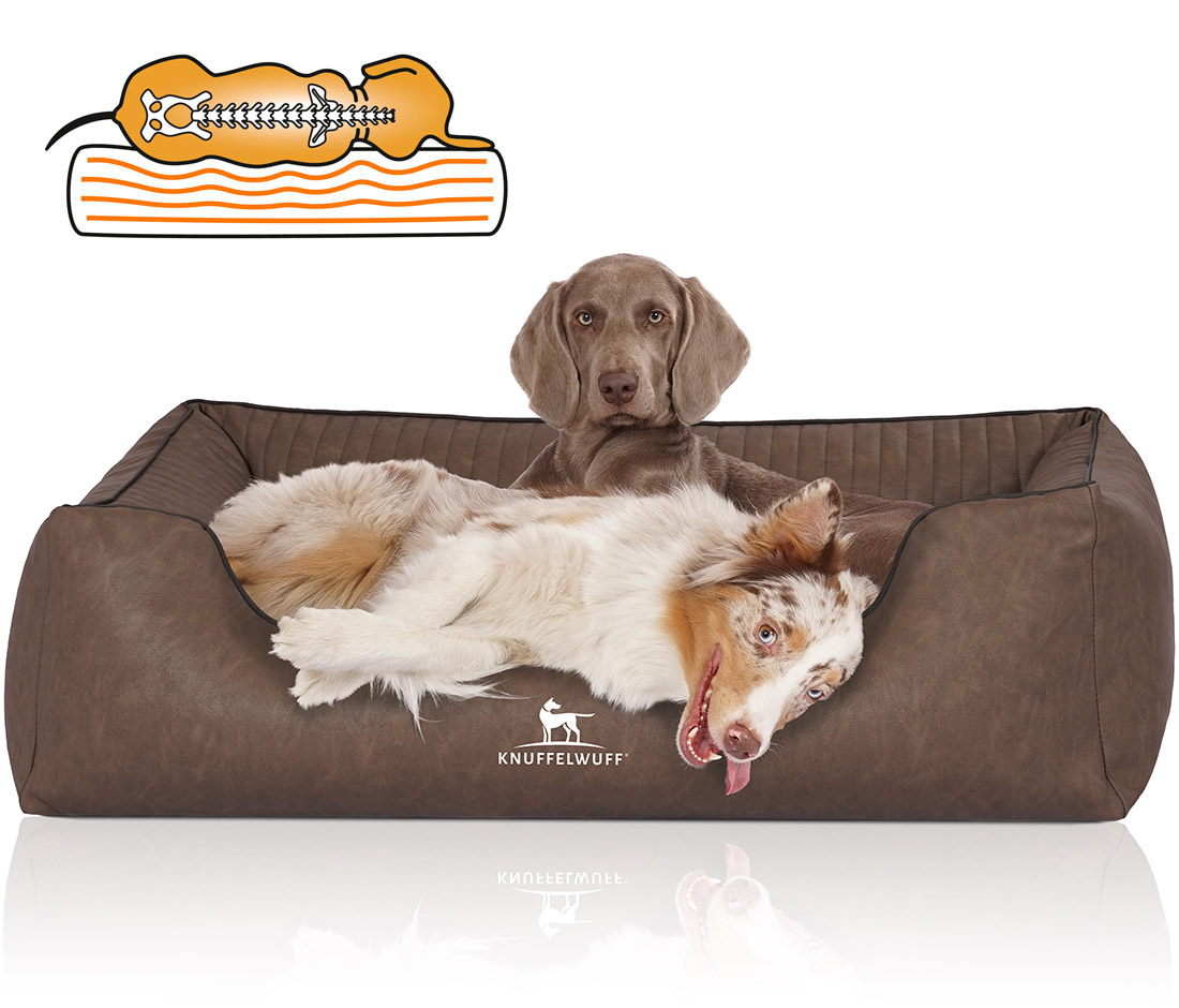 Knuffelwuff | Orthopädisches Hundebett Chesapeake | Ergonomisch |  Matte | Matratze | Memory Foam