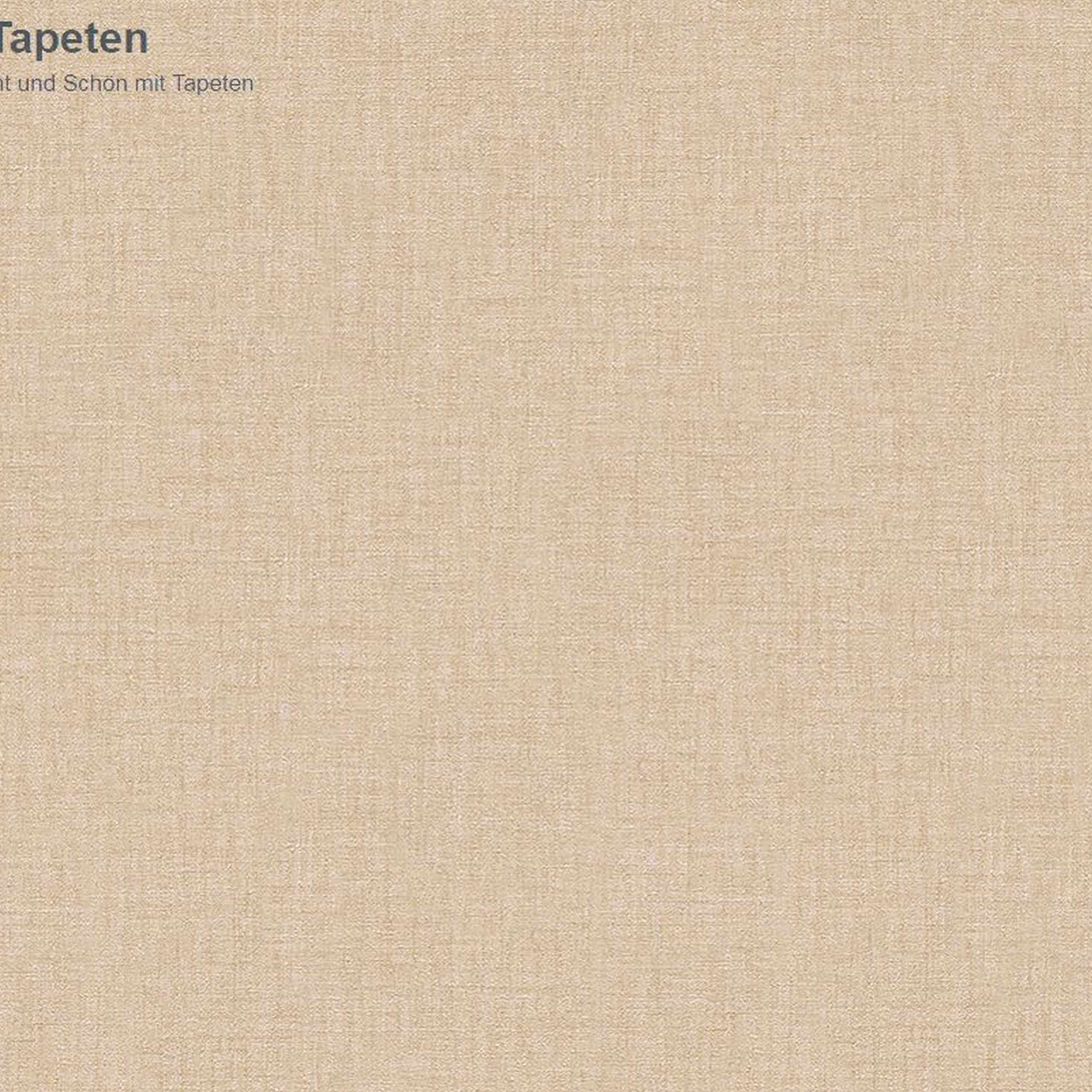 A.S. Creation | Versace Home 2 | 962332 | Vliestapete | Einfarbig | 0.7 x 10.05 m | Beige