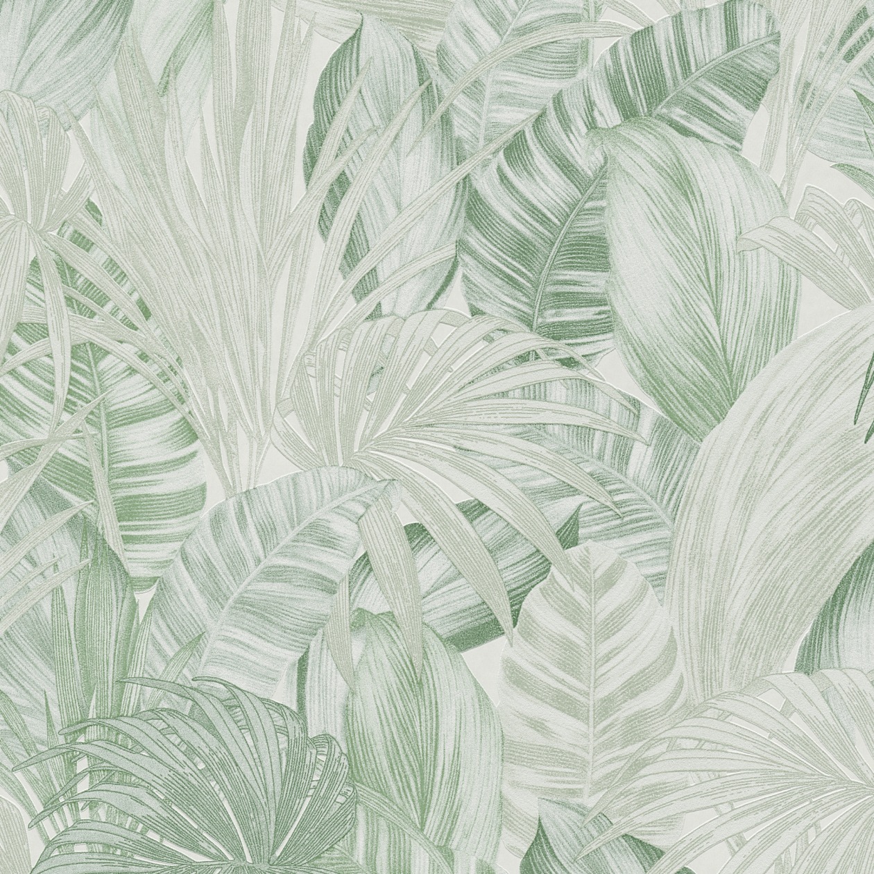 A.S. Creation | Greenery | 368202 | Vliestapete | Naturoptik | 0.53 x 10.05 m | Grün
