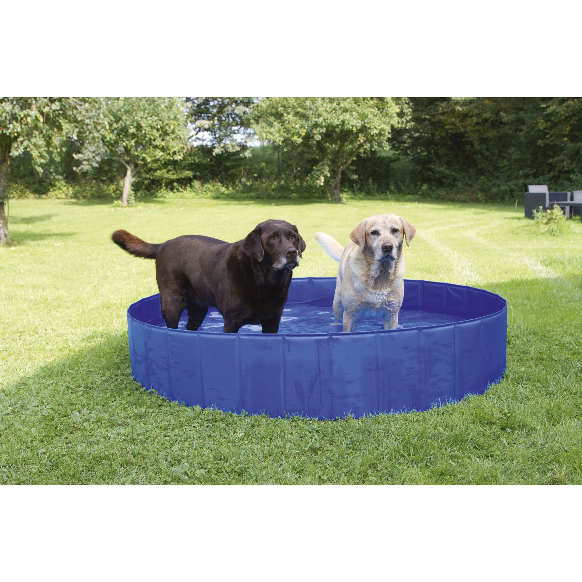 Coperani | Hundepool | Blau | versch. Größen | 30 cm Höhe | kratzfest | leichte Reinigung | faltbar
