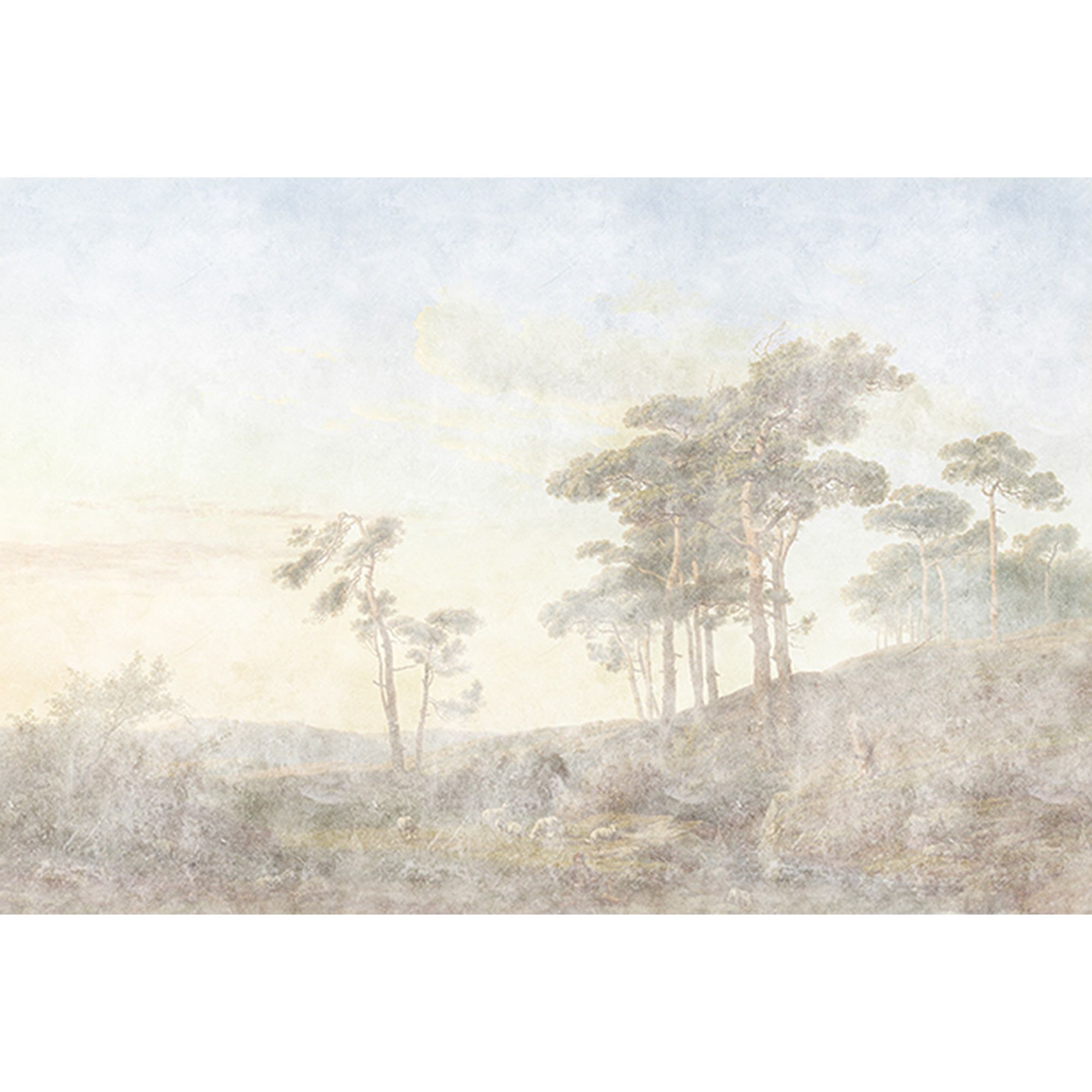 Tadessi Fototapete Wald M1-No.61171 Digitaldruck Tapete Beige Grau - Natur Landschaft