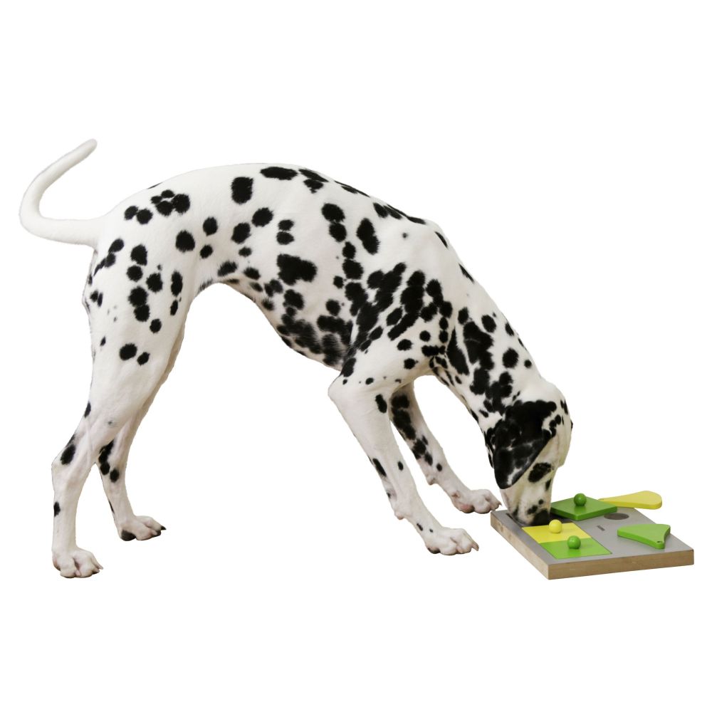 Hundespielzeug | Denk- und Lernspielzeug | Cake | 30x23cm