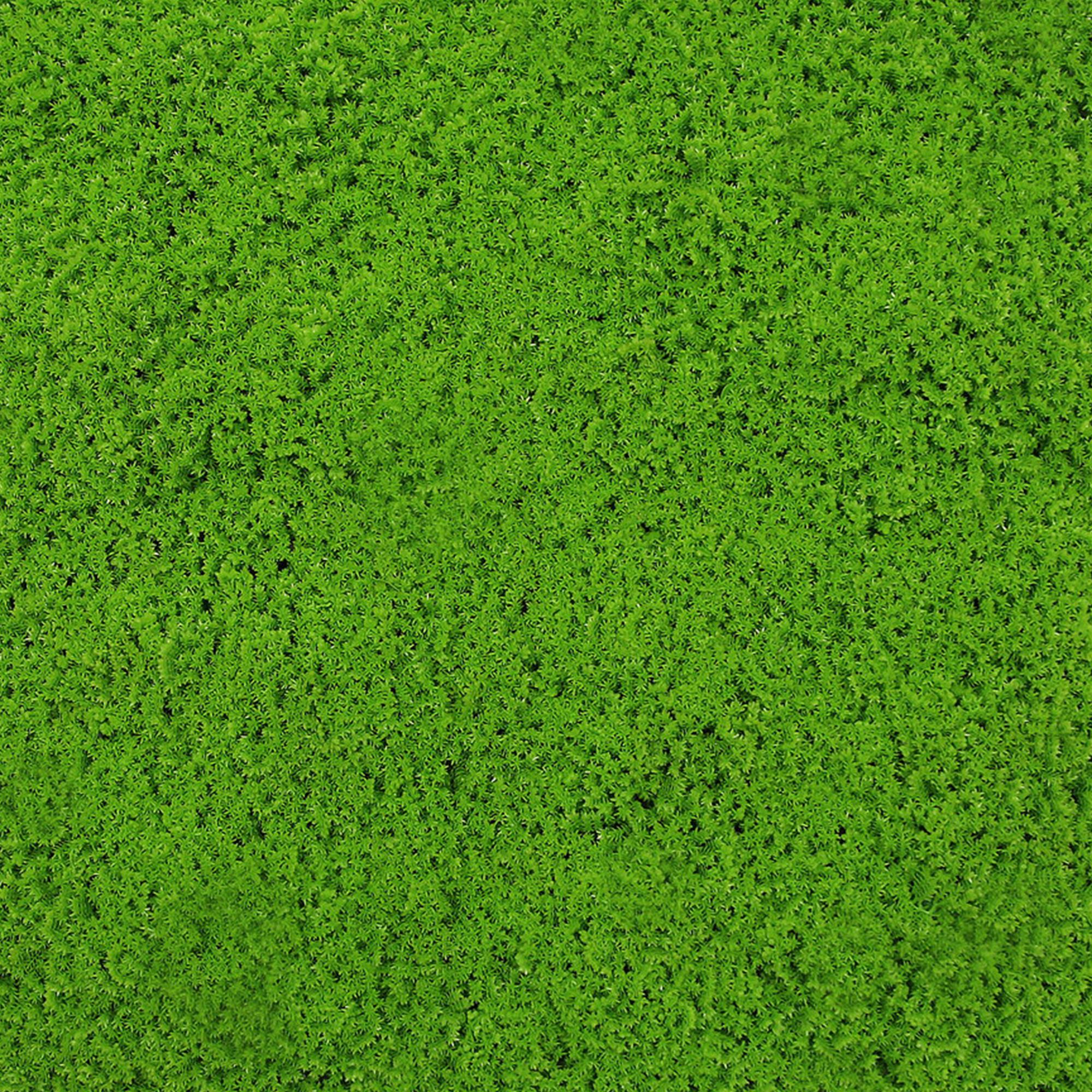 A.S. Creation Modular Wall Wandpaneel 520 x 520 x 22 mm Lime Green Design Moos