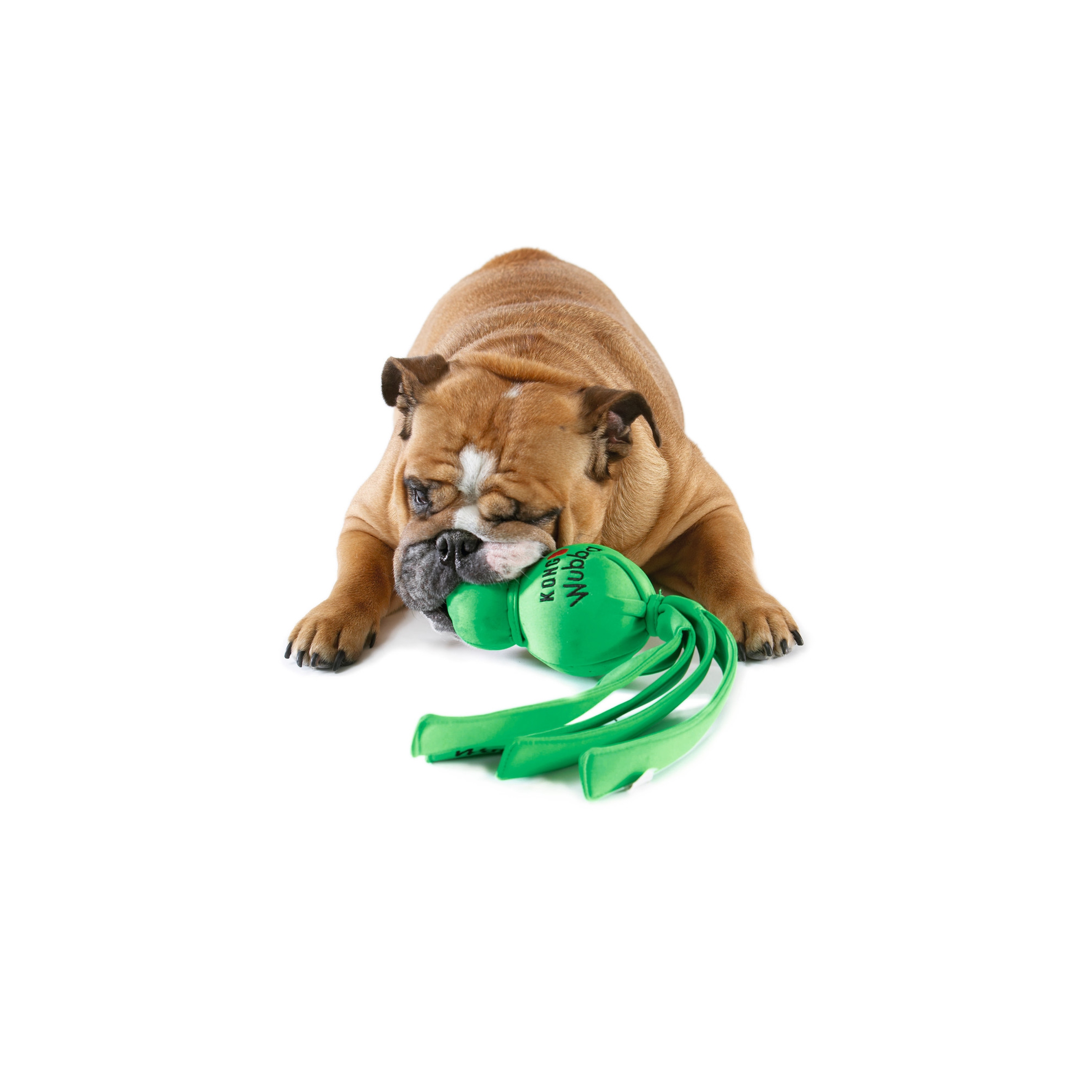 Hunter | KONGÂ® WubbaÂ™ Wet | Hundespielzeug | Neopren | Orange|Gelb|Grün