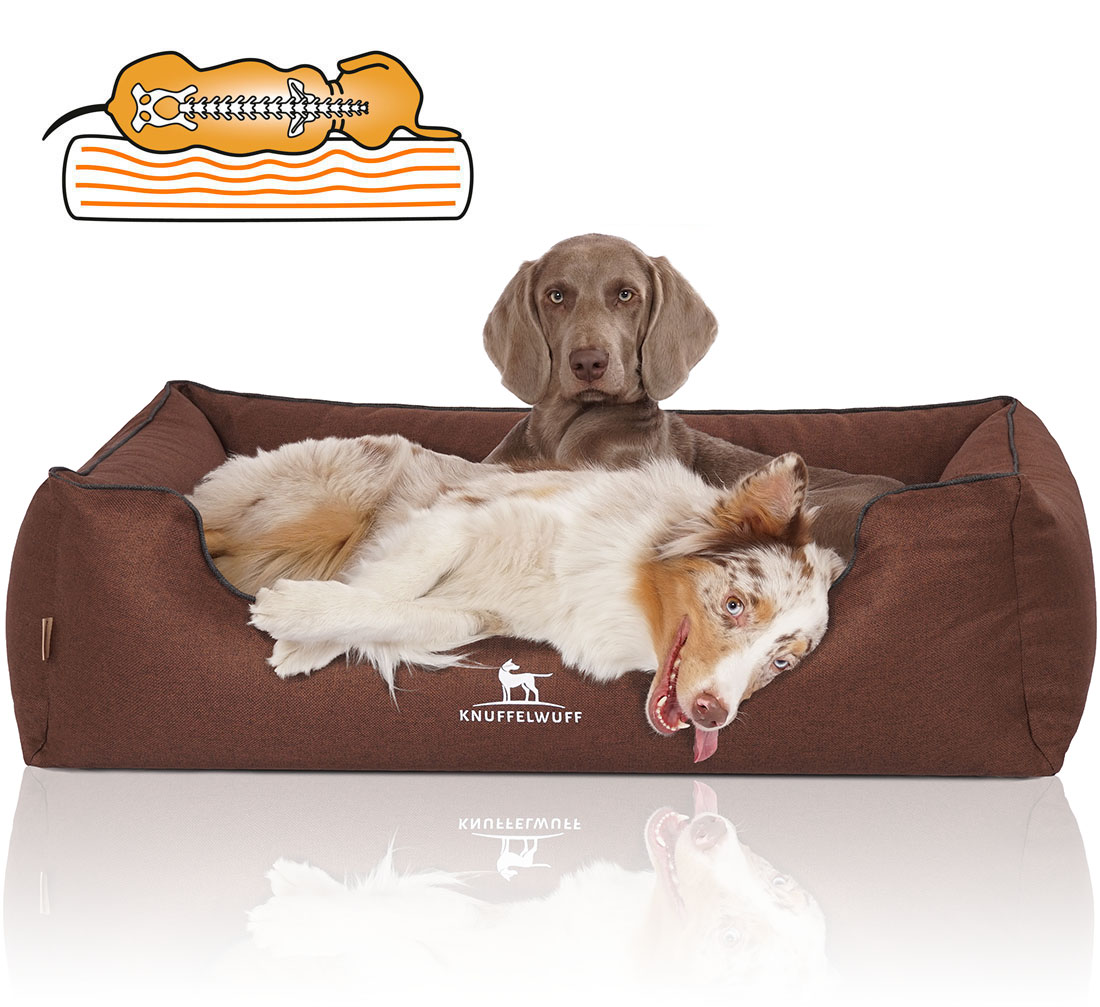 Knuffelwuff | Orthopädisches Hundebett Wippo | Ergonomisch |  Hundematte | Matratze | Memory Foam
