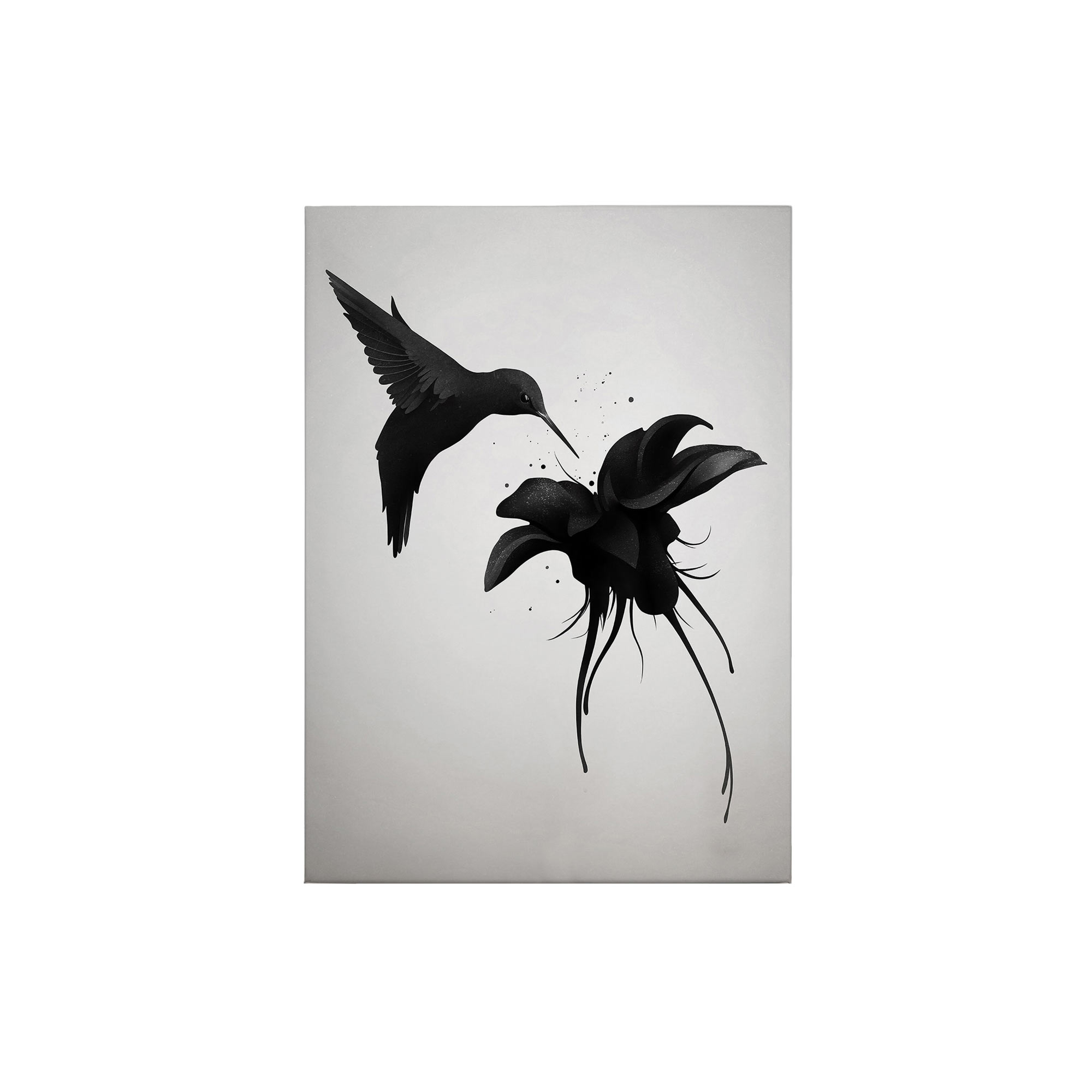 Tadessi Leinwandbild Vögel - 70 x 50 cm - M1-No.50414 - Keilrahmen in Weiß Schwarz