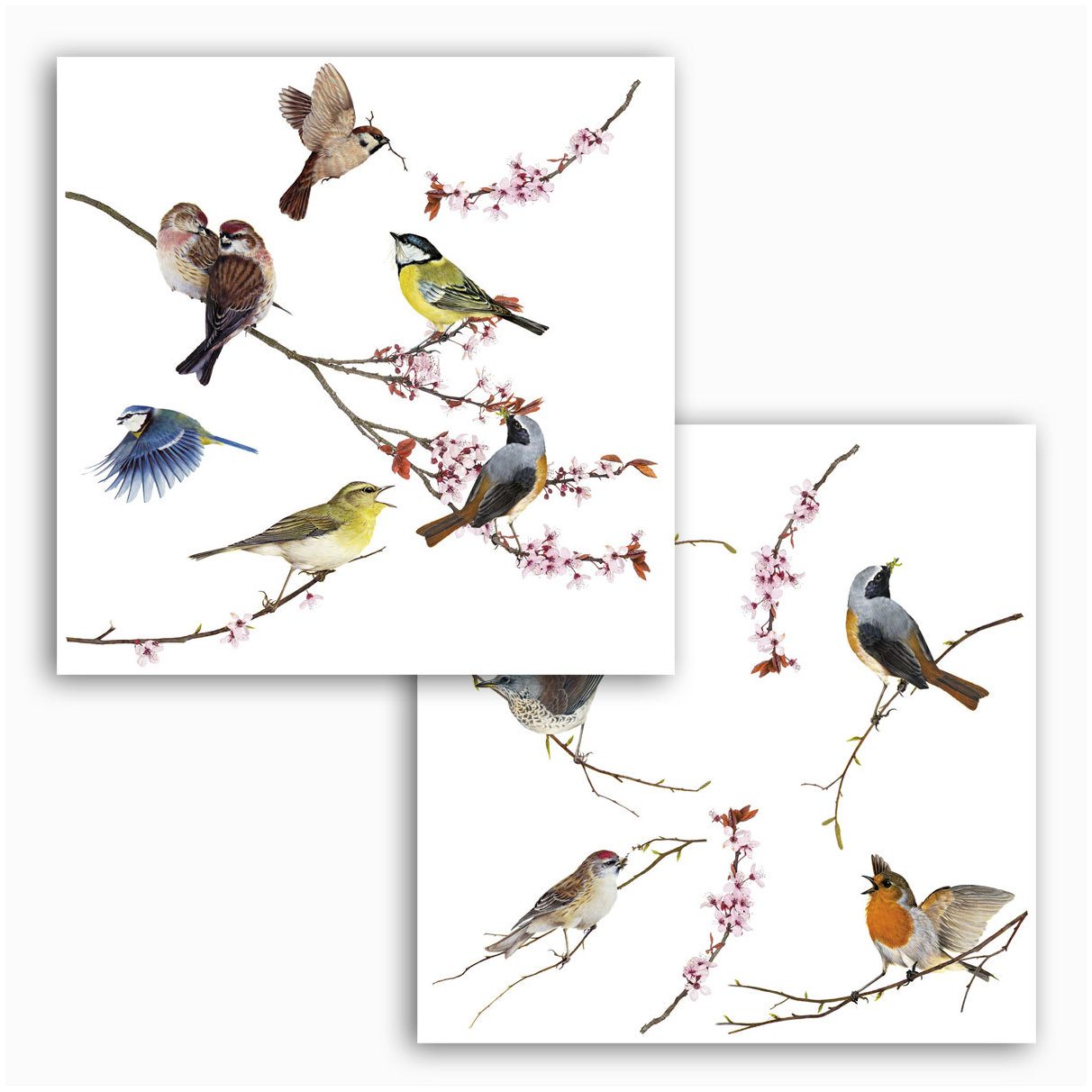 Komar Fenstersticker - Birds - 31 x 31 cm - Fensteraufkleber - Natur