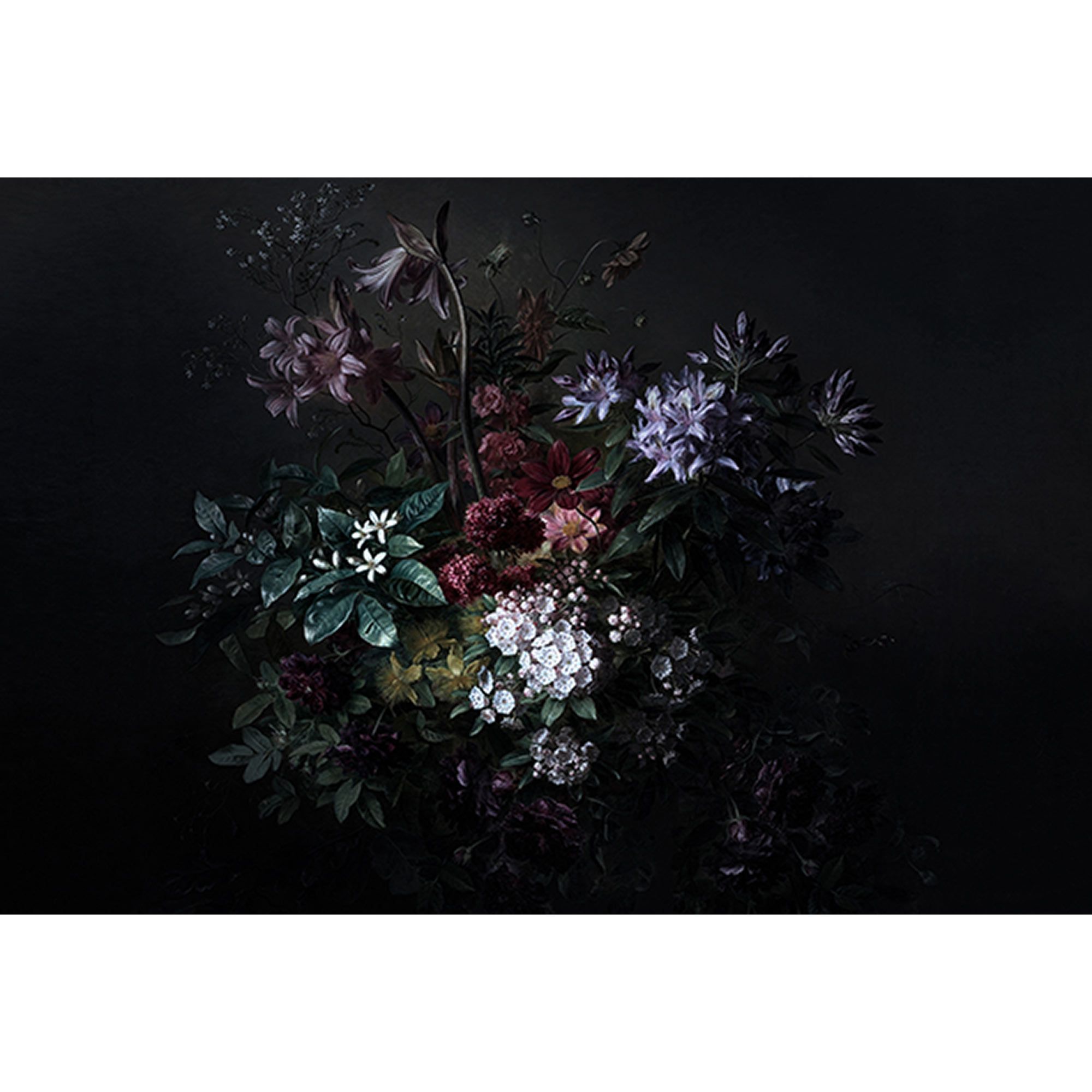Tadessi Fototapete Blumen M1-No.60540 Digitaldruck Tapete Weiß Schwarz - Floral