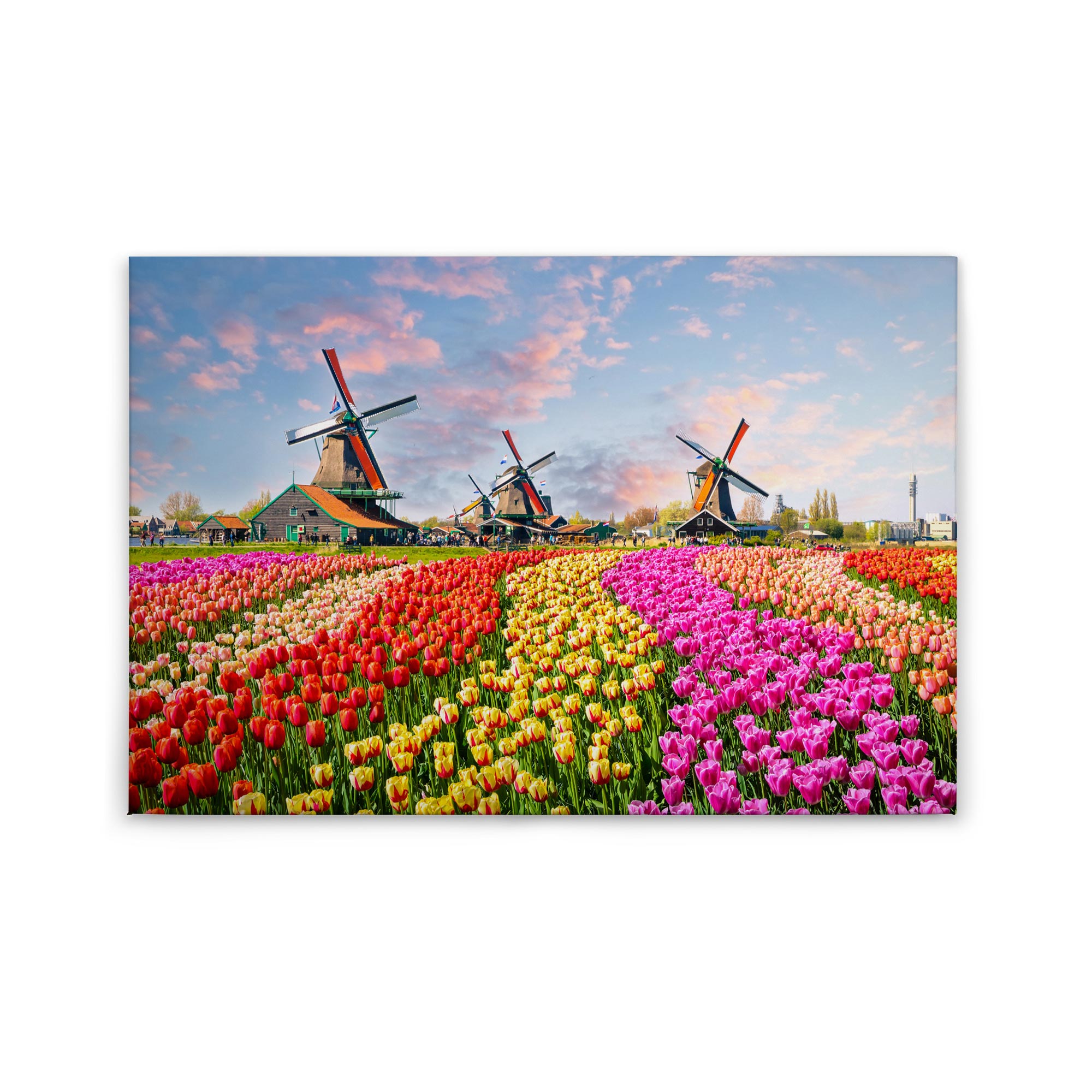Tadessi Leinwandbild Landschaft Floral - 60 x 90 cm - M1-No.50081 - Keilrahmen in Bunt Gelb