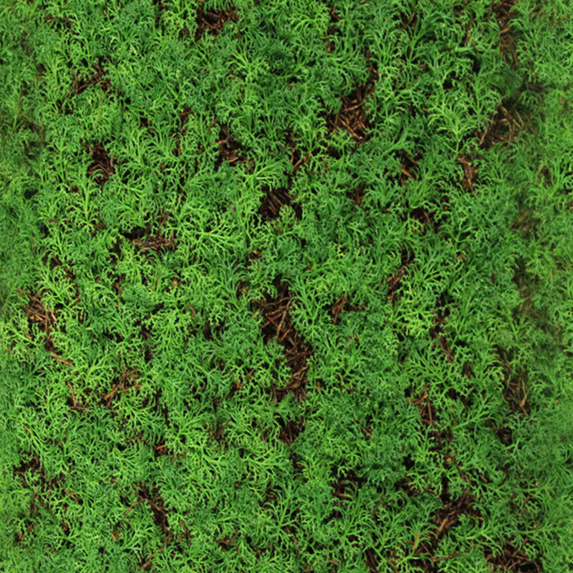 A.S. Creation Modular Wall Wandpaneel 520 x 520 x 60 mm Thuja Tea Tree Naturfaser