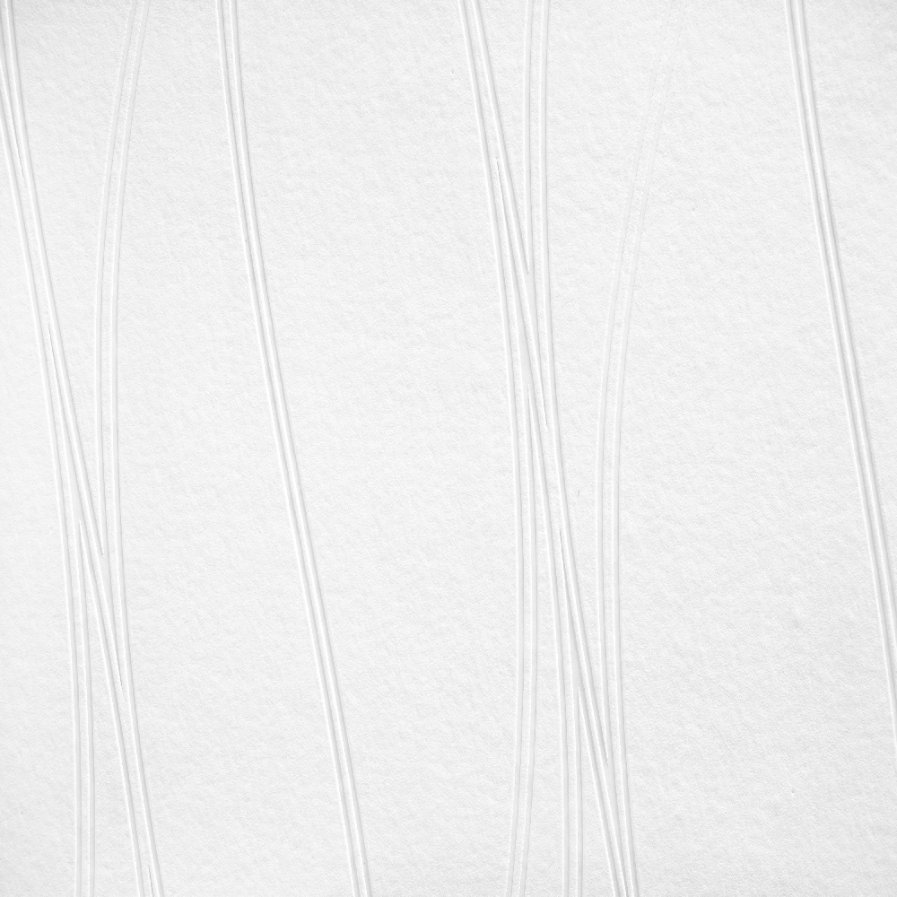 A.S. Creation Meistervlies | 244918 | papier peint à motif ondulé | 0.53 m x 10.05 m | blanc