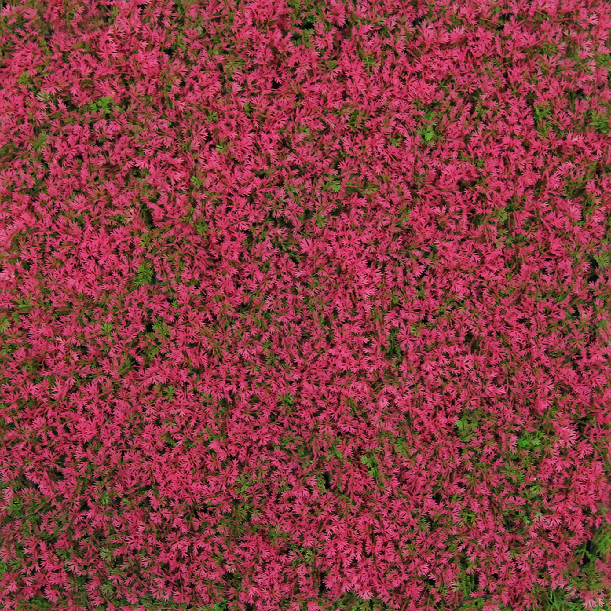 A.S. Creation Modular Wall Wandpaneel 520 x 520 x 28 mm Pink Design Grass Pflanzenwand