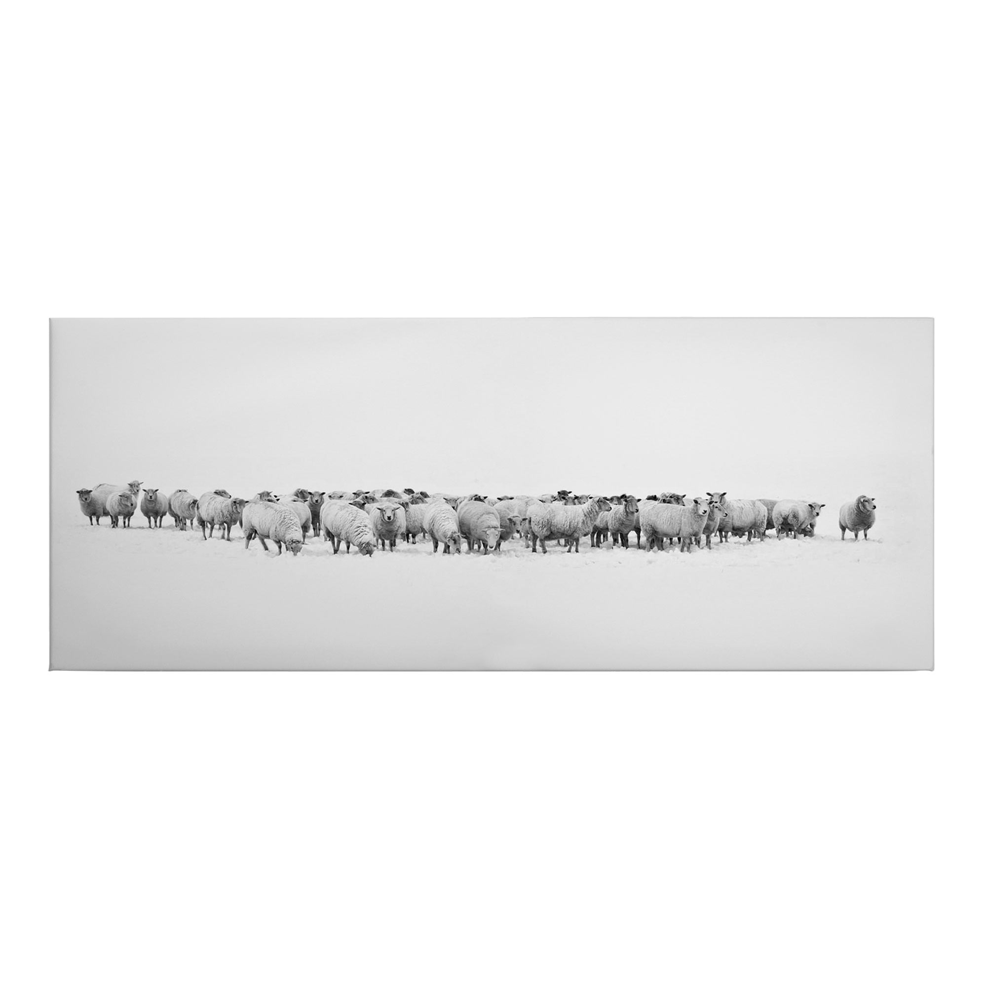 Tadessi Leinwandbild Schwarz - 40 x 100 cm - M1-No.50477 - Keilrahmen in Weiß Grau