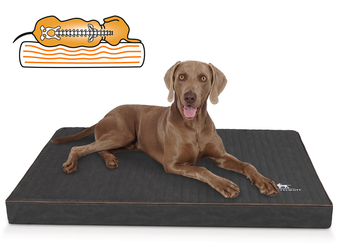 Knuffelwuff | Orthopädisches Hundebett Palomino | Hundematte | Ergonomisch | Matratze | Memory Foam