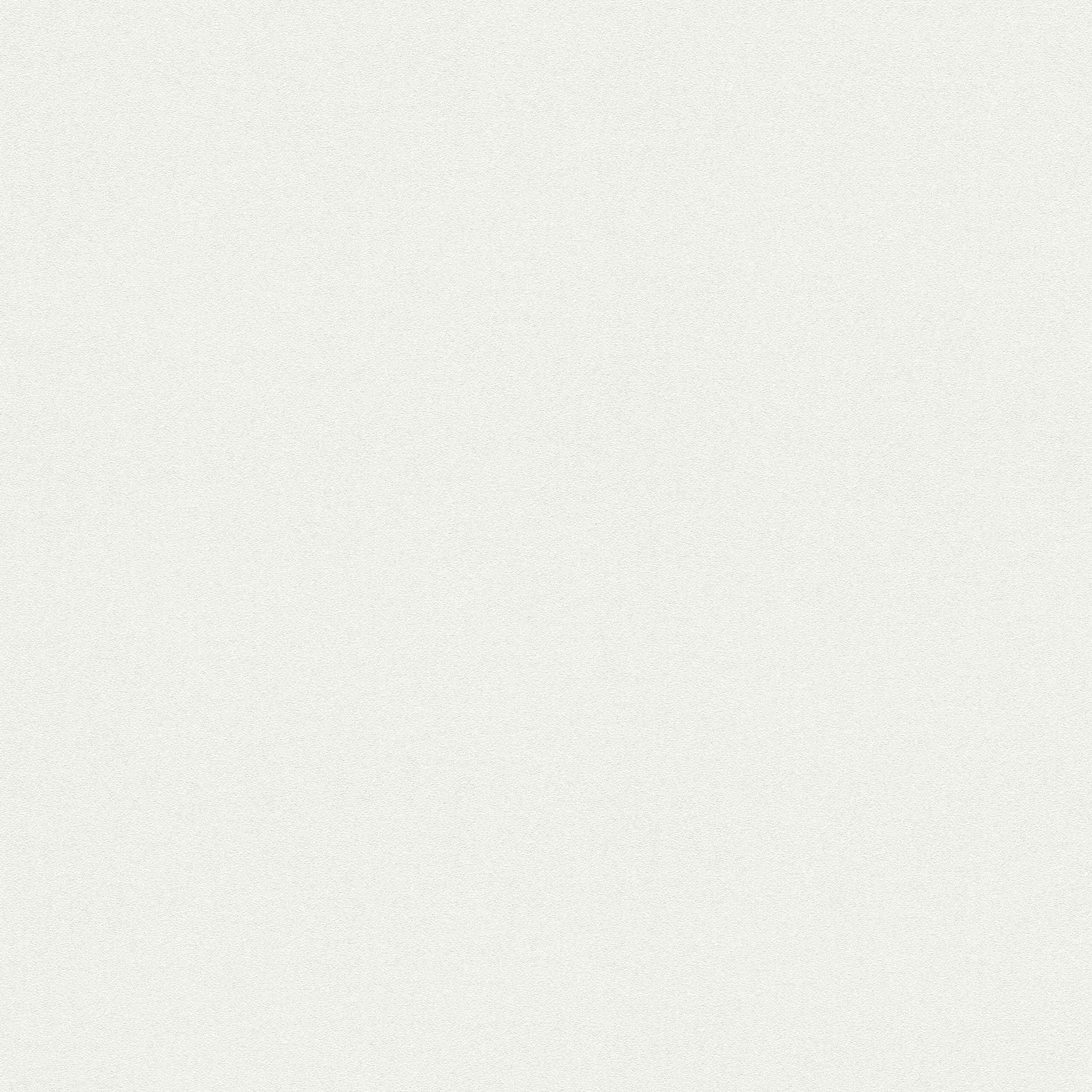 A.S. Creation Meistervlies | 574718 | papier peint intissé enduit | 1.06 m x 25 m | blanc