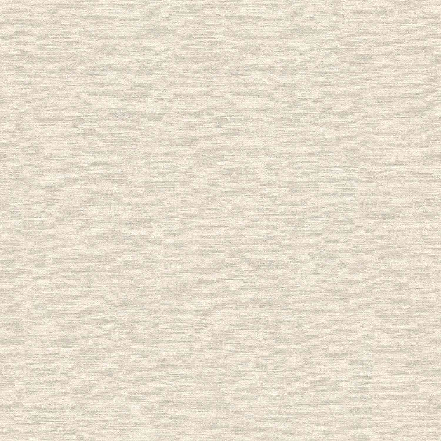 A.S. Creation | Desert Lodge | 324743 | Vliestapete | Einfarbig | Uni | 0.53 x 10.05 m | Beige