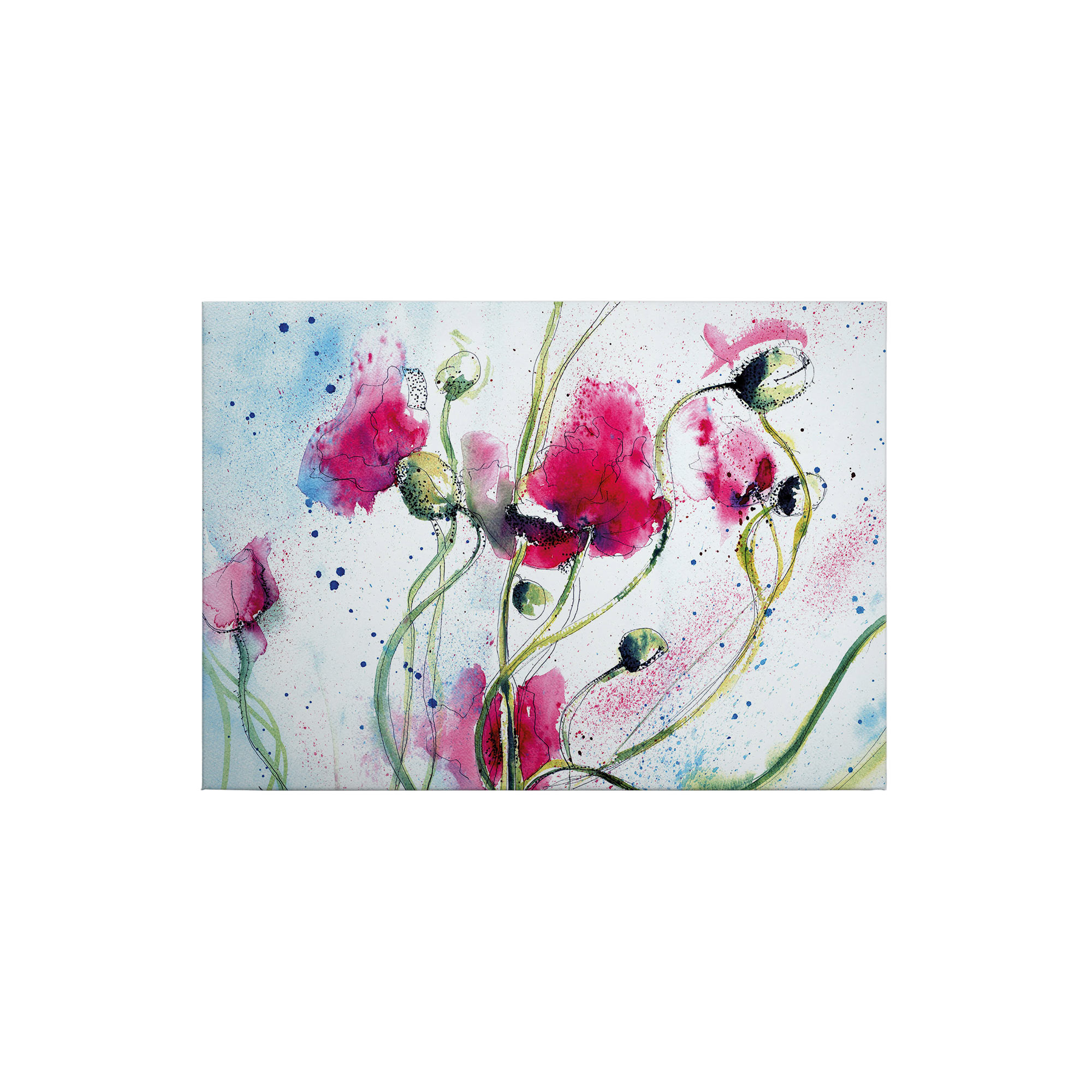Tadessi Leinwandbild Aquarelle Blumen - 50 x 70 cm - M1-No.50325 - Keilrahmen in Weiß Rosa