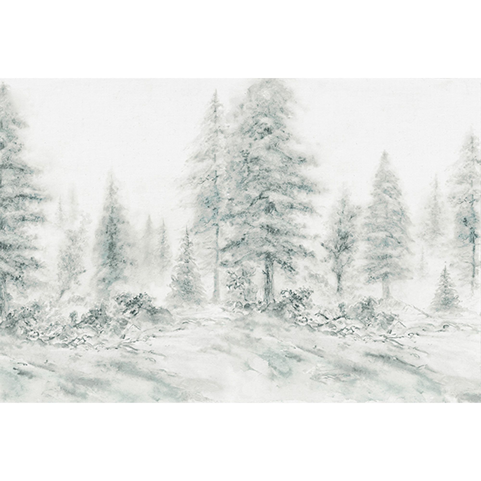 Tadessi Fototapete Wald M1-No.60015 Digitaldruck Tapete Grau Weiß - Natur Gemälde Waldtapete