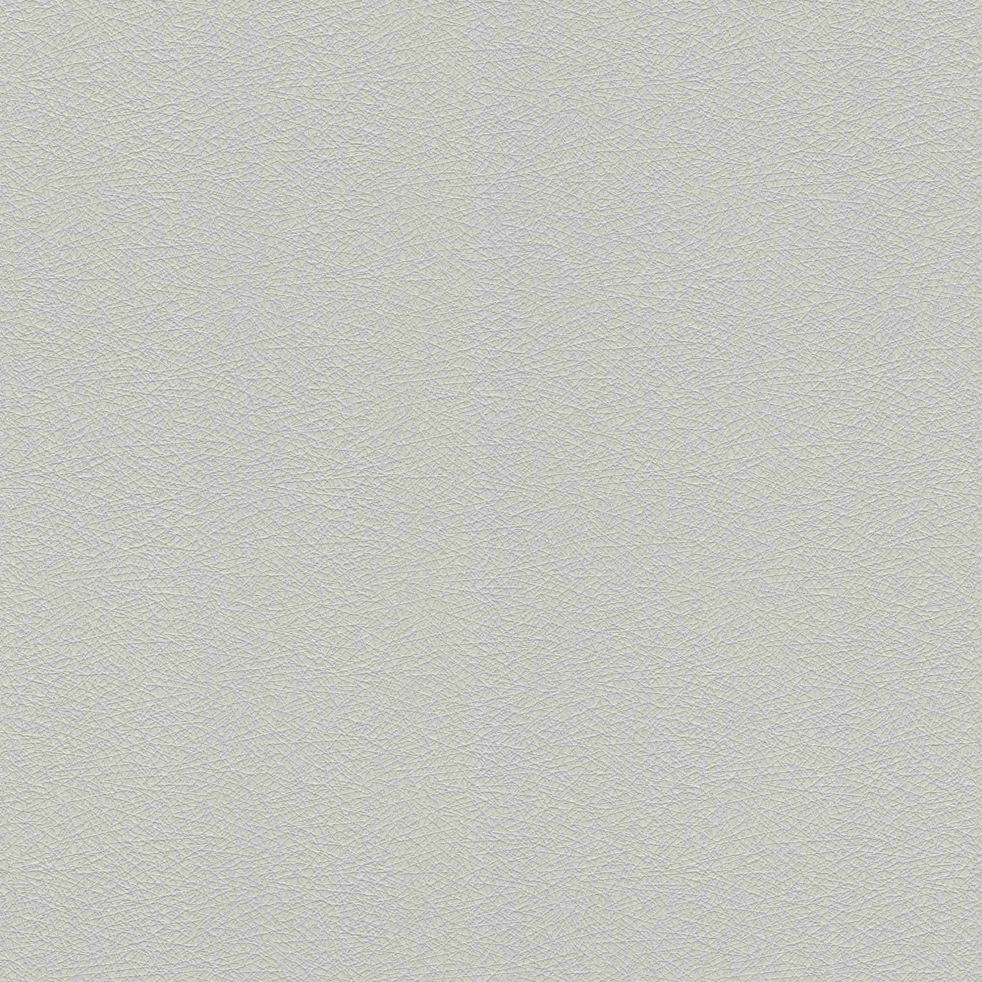 Carta da parati non tessuta 474930 Tinta unita The Best (2025) Rasch