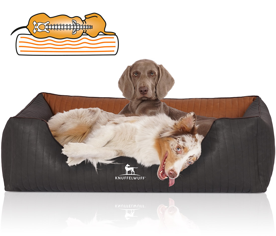 Knuffelwuff | Orthopädisches Hundebett Rough Road | Ergonomisch |  Matte | Matratze | Memory Foam