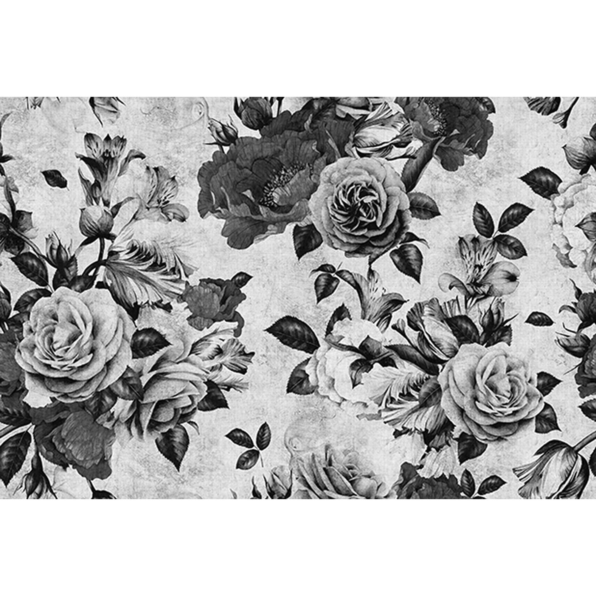 Tadessi Fototapete Blumen M1-No.60927 Digitaldruck Tapete Schwarz Weiß - Rosen