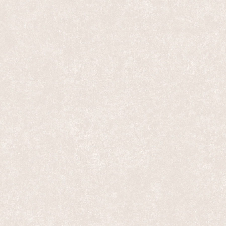 A.S. Creation | Styleguide Design 2024 | 385947 | Papier Peint Intissé | Uni | 10.05 x 0.53 m | Gris
