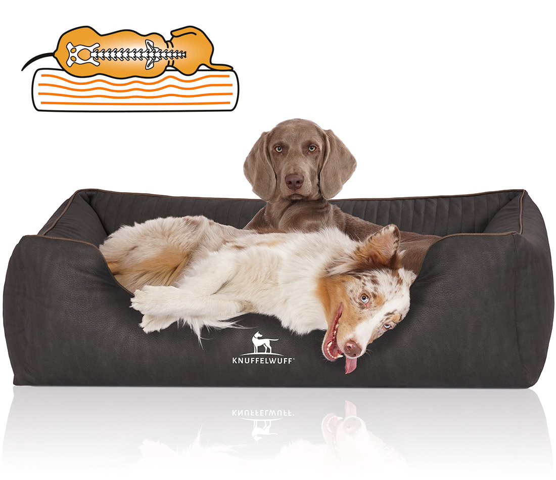 Knuffelwuff | Orthopädisches Hundebett Tampa | Ergonomisch |  Hundematte | Matratze | Memory Foam