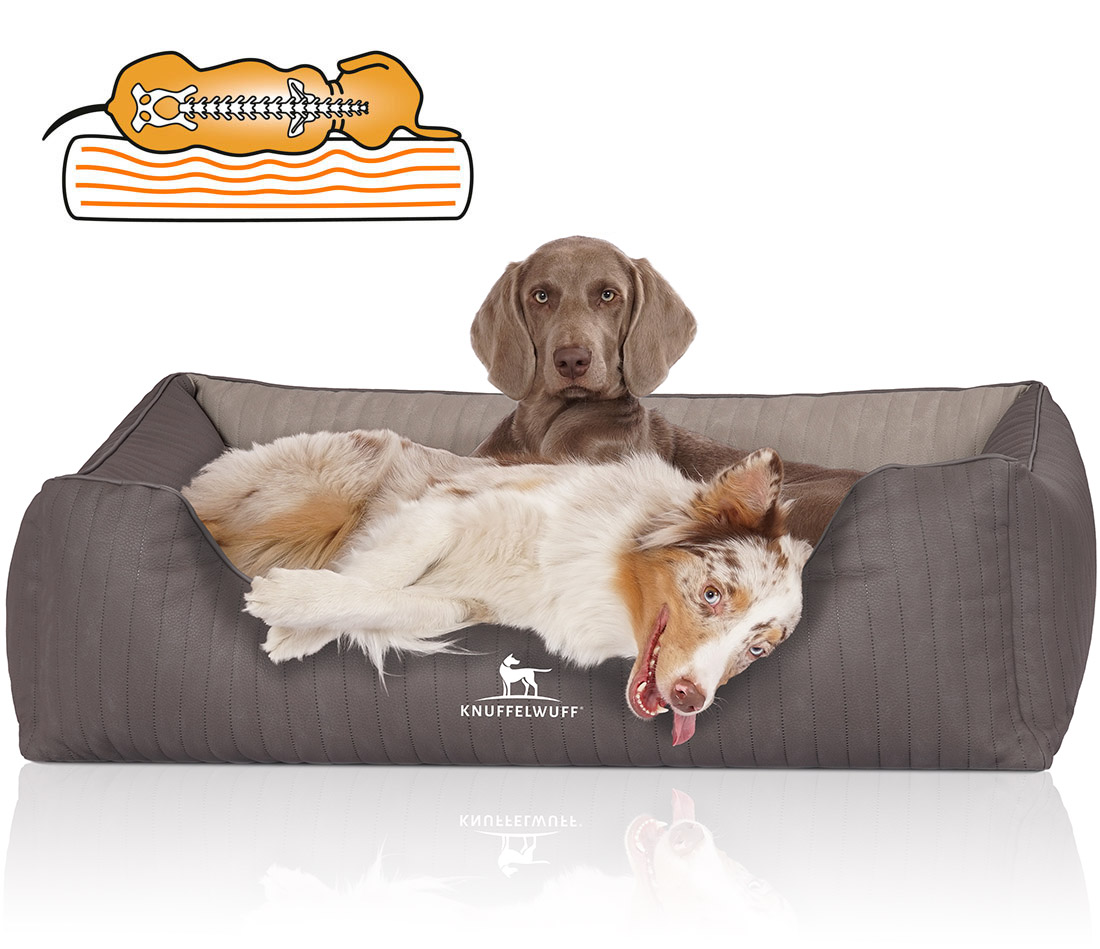 Knuffelwuff | Orthopädisches Hundebett Outlander | Ergonomisch |  Hundematte | Hundematratze