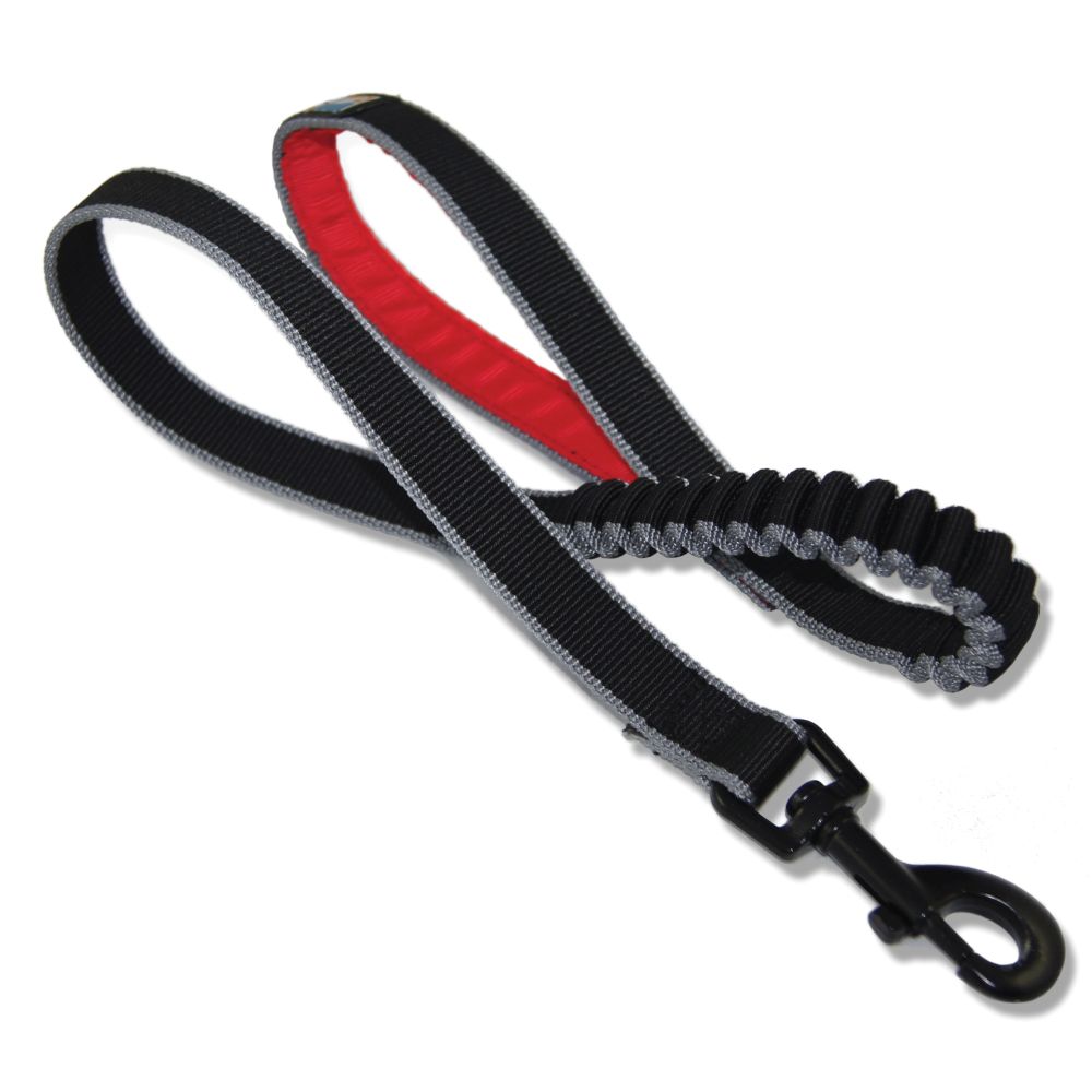 Hundeleine | Führleine | Springback-Leash | versch. Größen