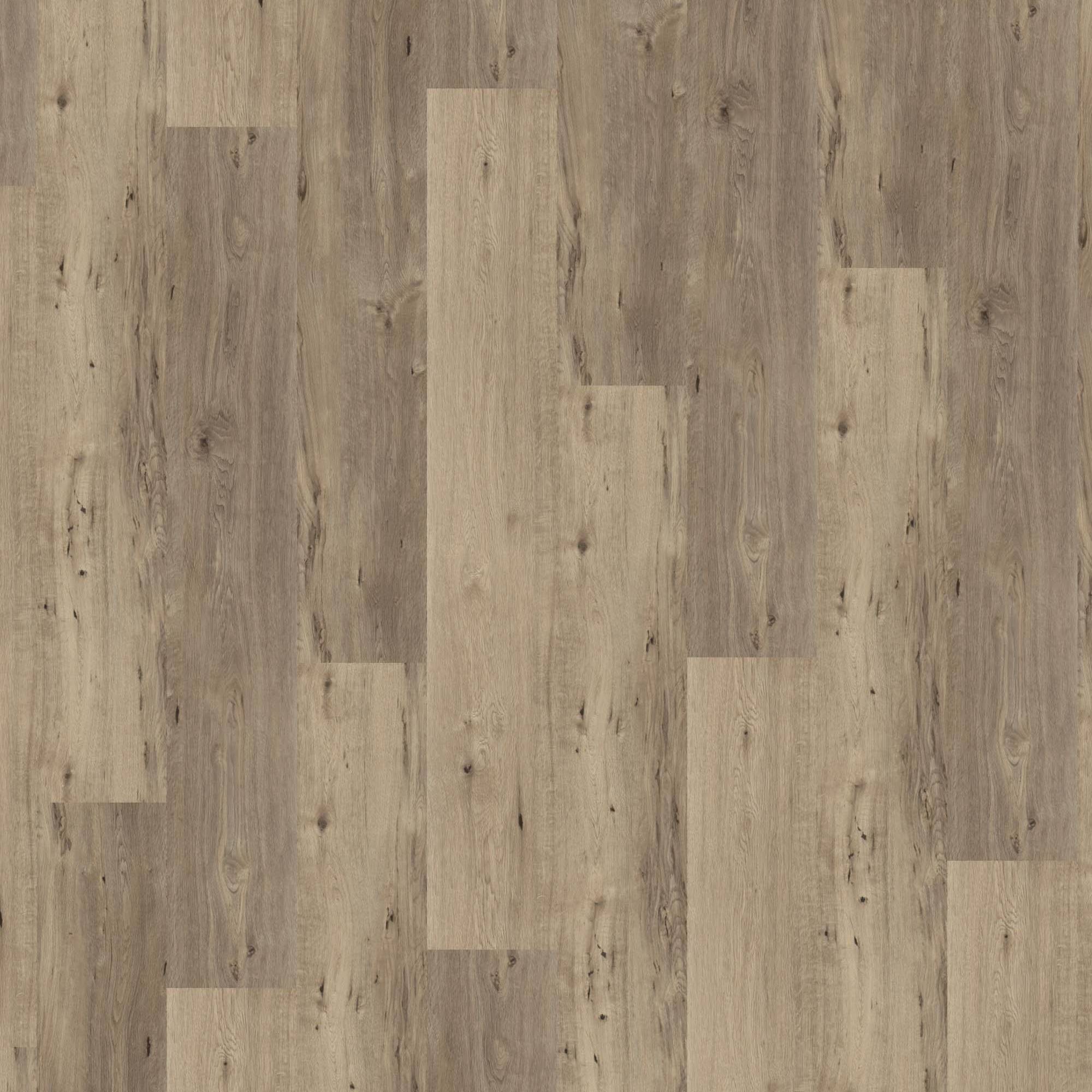 Vinylboden 24H3 8003H Designbelag 1219.2 x 184.2 x 2 mm Klebe Vinyl Holzoptik Grau NKL31