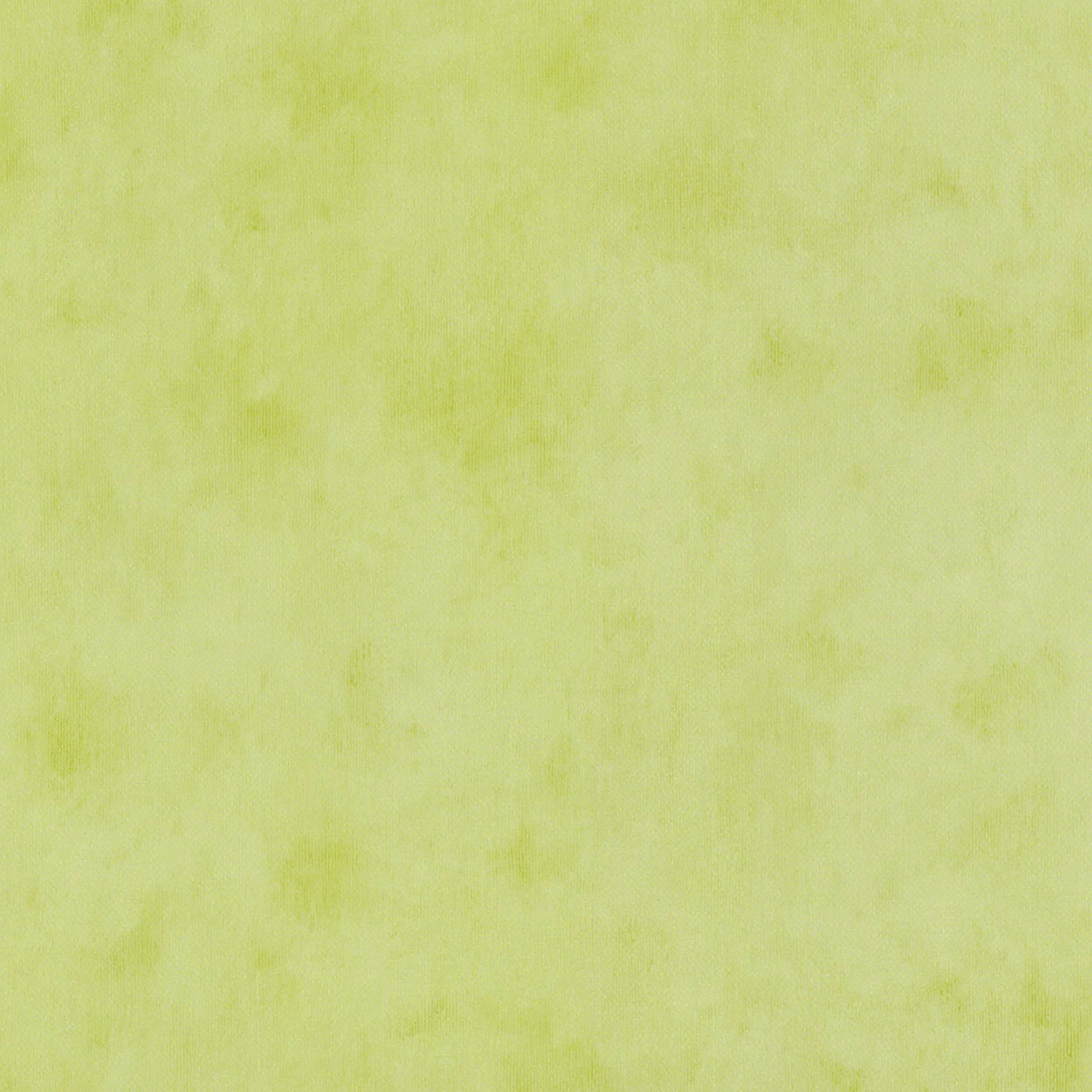 A.S. Creation | Il Decoro | 688866 | Papiertapete | Einfarbig | Uni | 0.53 x 10.05 m | Grün