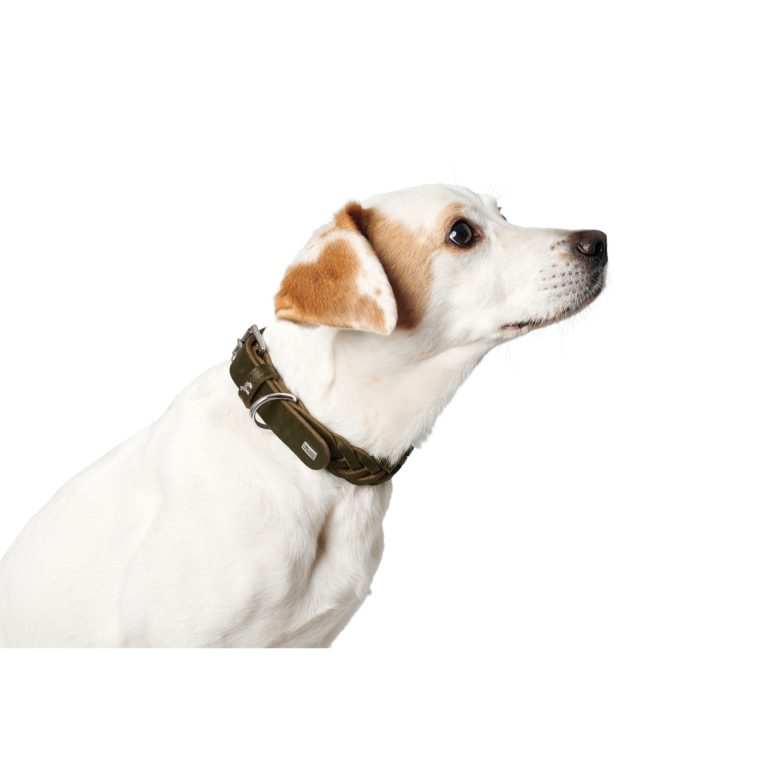 Hunter | Solid Education Special | Halsband | Rindsleder | Komfort | Langlebig