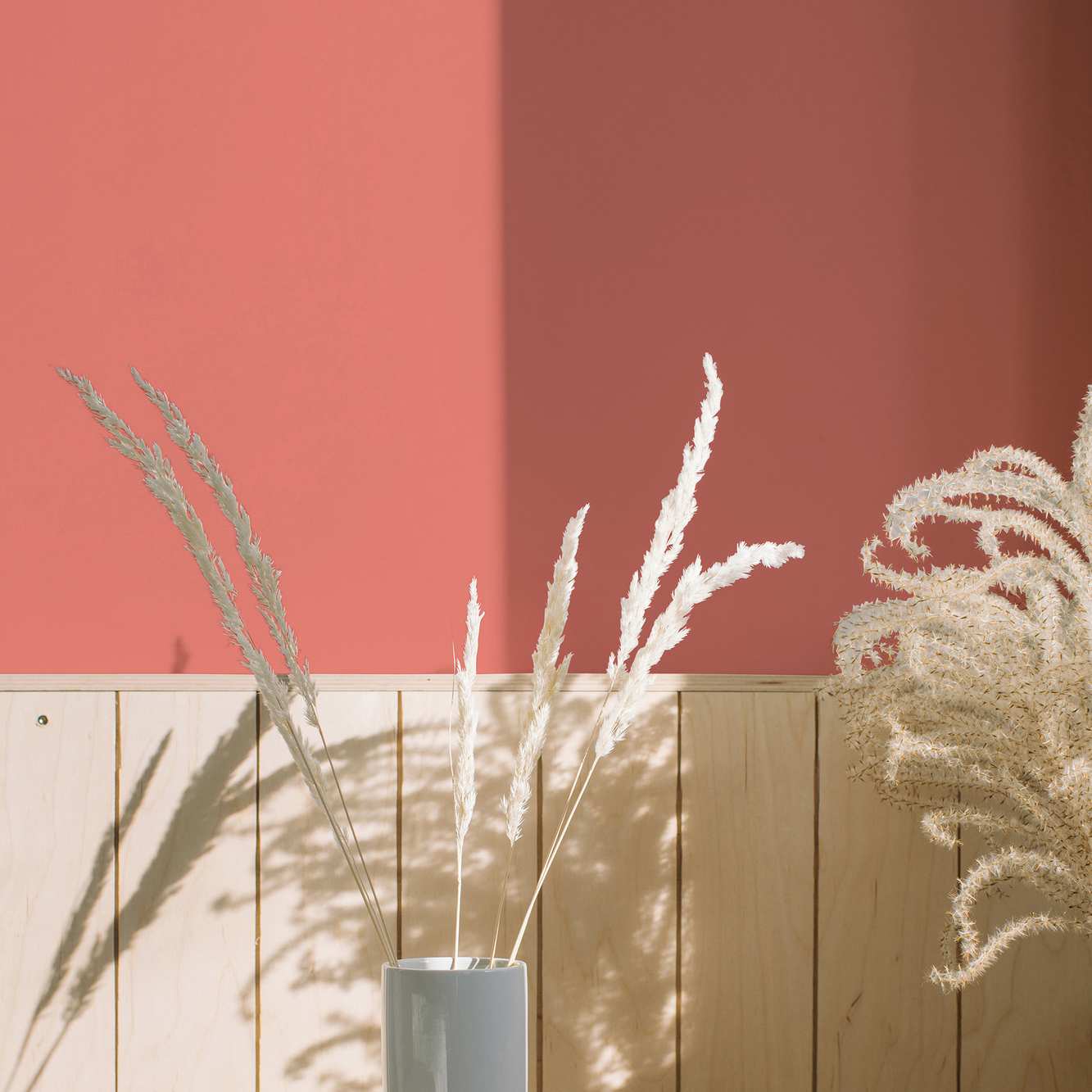 Wandfarbe Pink | PURO Coral Pink