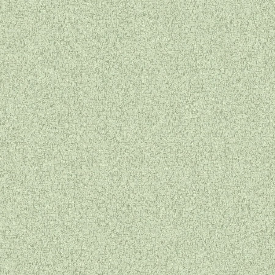 A.S. Creation | Attractive | 378315 | Papier Peint Intissé | Uni | 10.05 x 0.53 m | Vert