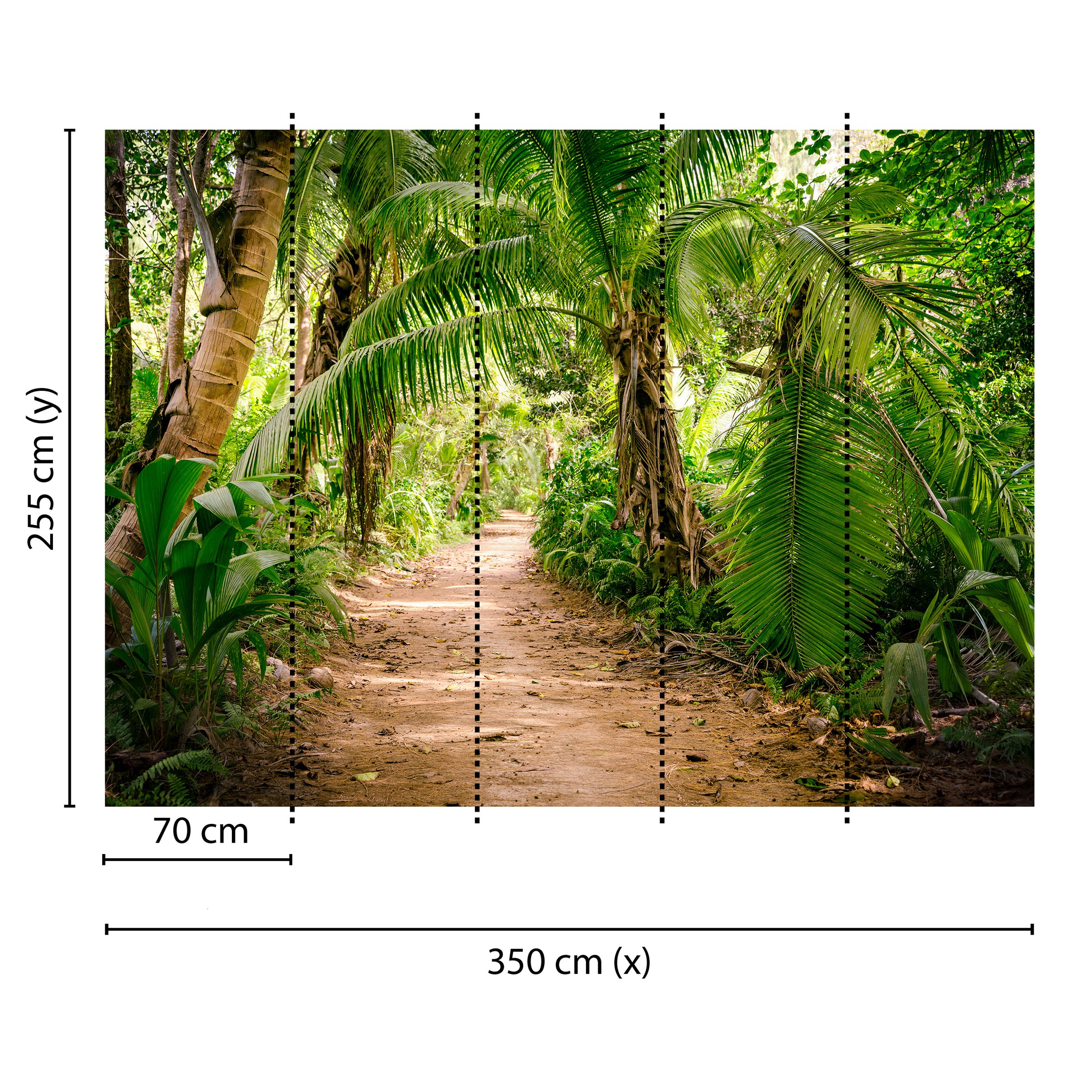 Tadessi Fototapete Palmen M1-No.60477 Digitaldruck Tapete Grün Braun - Regenwald Natur