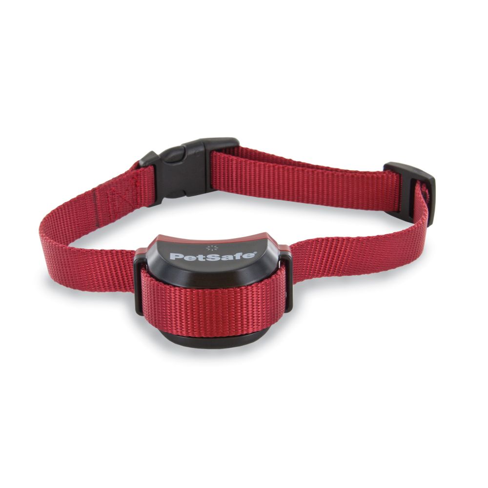 Hundehalsband | Stay&Play | Kabelloses Zaunhalsband