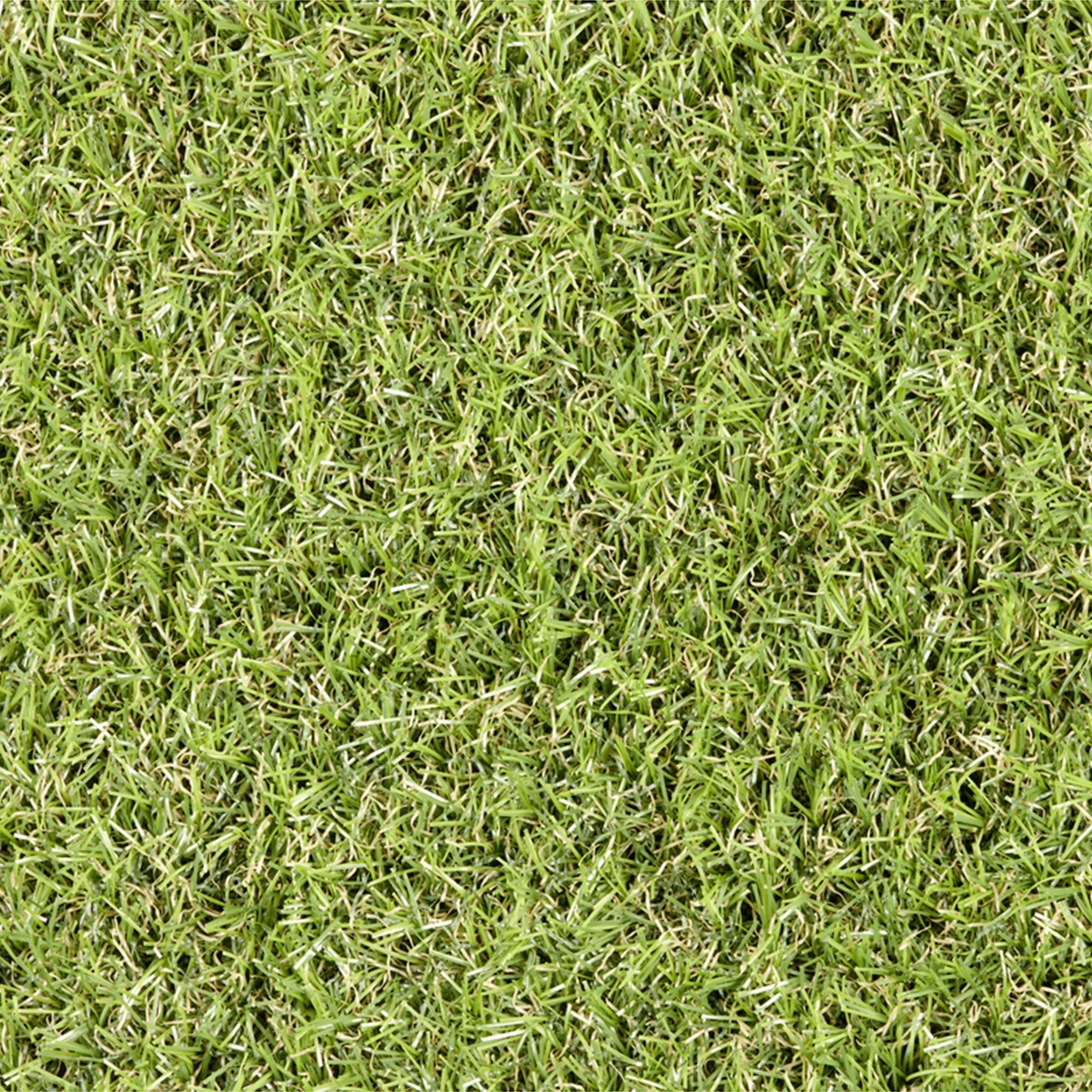 Kunstrasen MEGA OM29 Creation 500 cm breit Grün