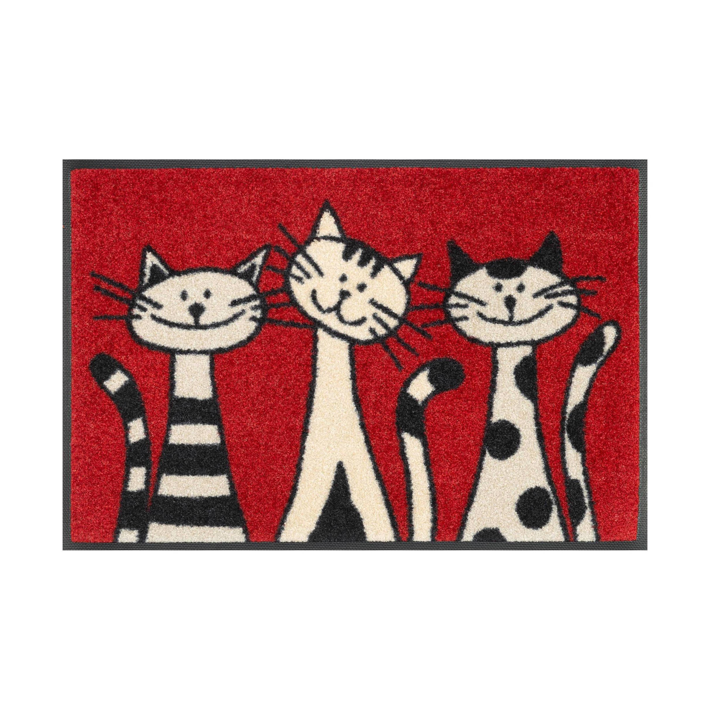 Paillasson Trio de pattes tapis de sol lavable Différentes tailles Floornovo Trend Design