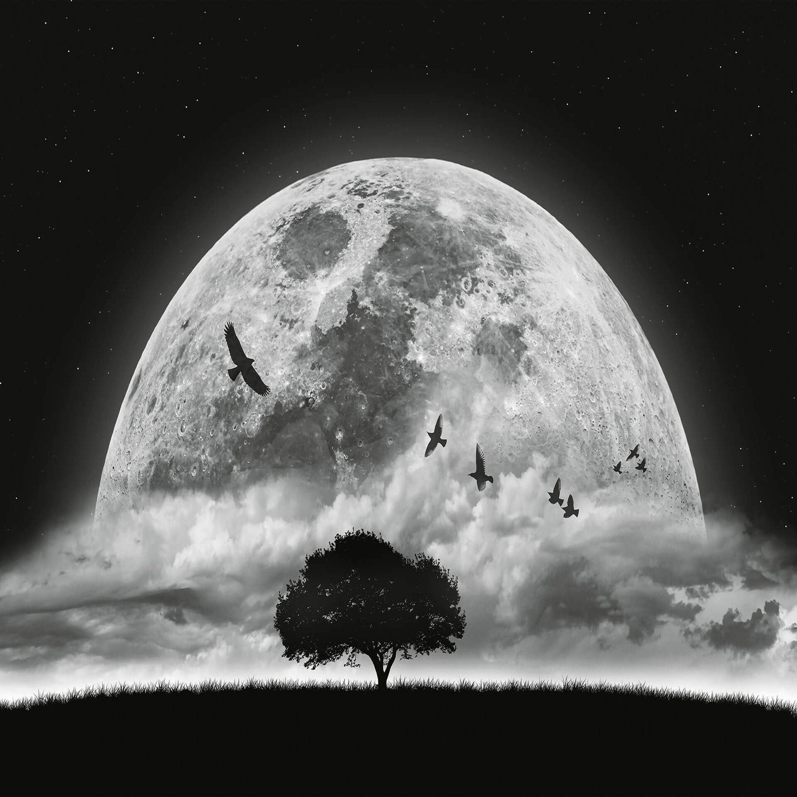 A.S. Creation | Designwalls 2.0 | DD119044 | Fototapete | Vlies | 384 x 260 cm | Landschaft