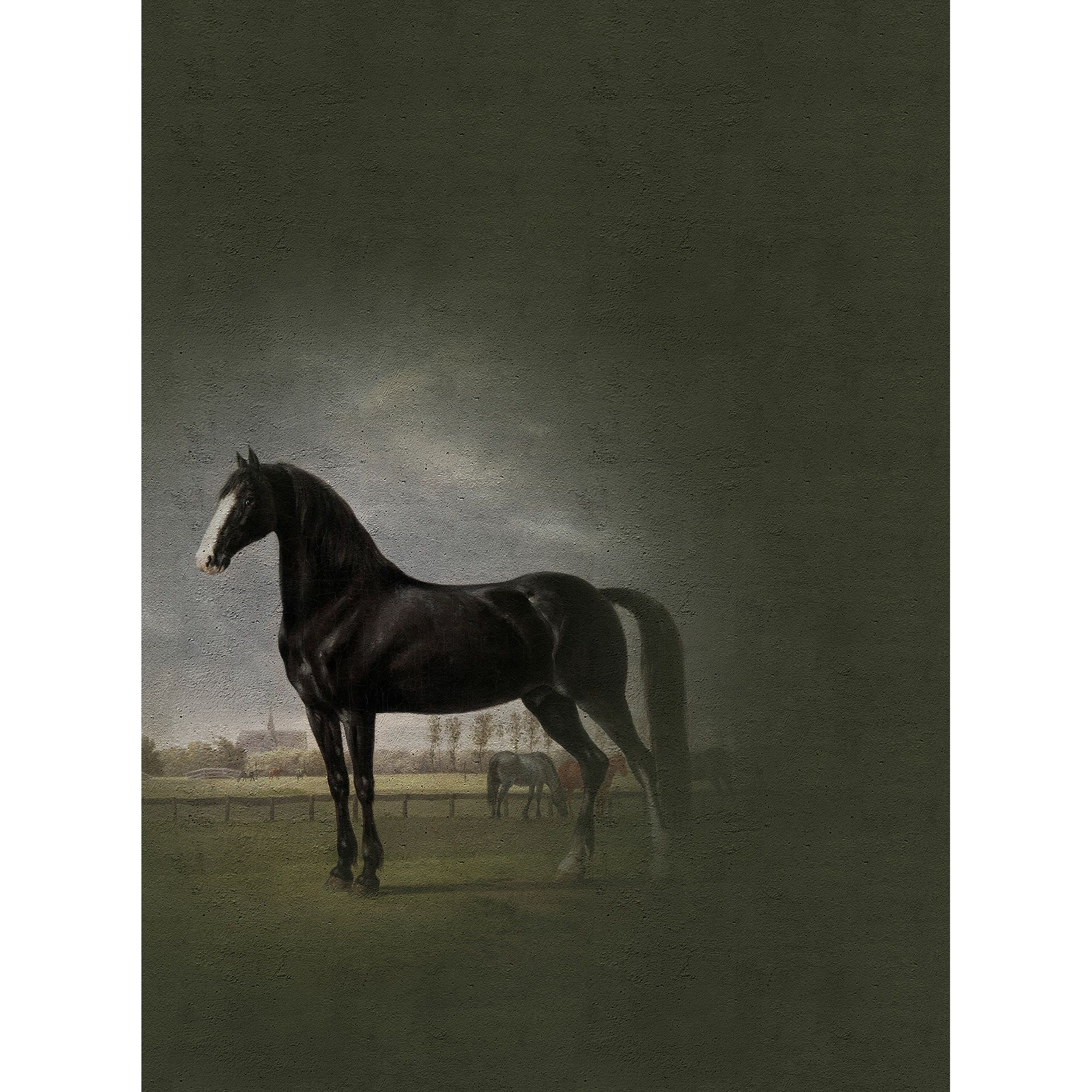 Tadessi Fototapete Gemälde M1-No.60587 Digitaldruck Tapete Schwarz Weiß - Vintage Pferd