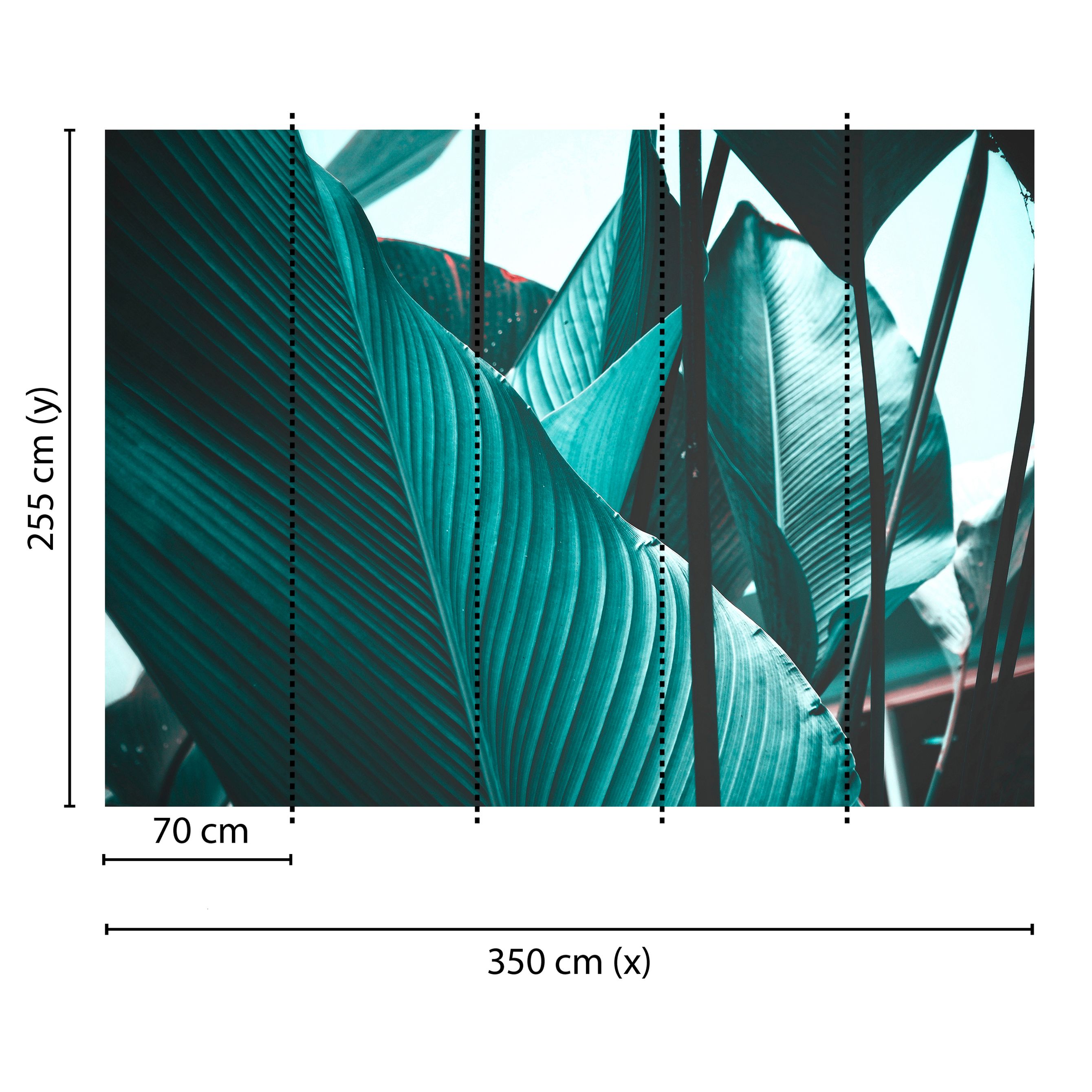 Tadessi Fototapete Natur M1-No.60445 Digitaldruck Tapete Blau Schwarz - Palmen Dschungel