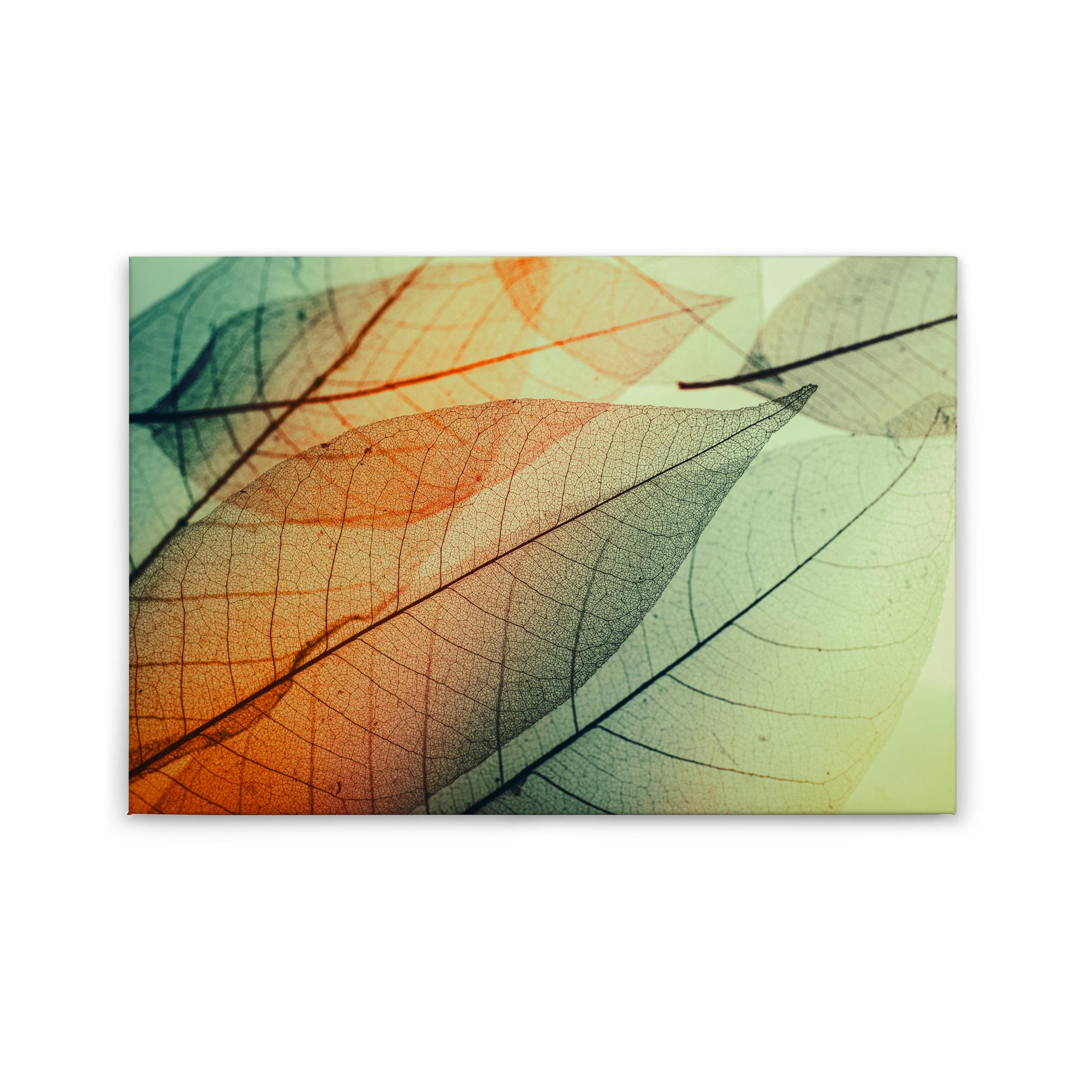 Tadessi Leinwandbild Natur - 60 x 90 cm - M1-No.50023 - Keilrahmen in Grün Orange
