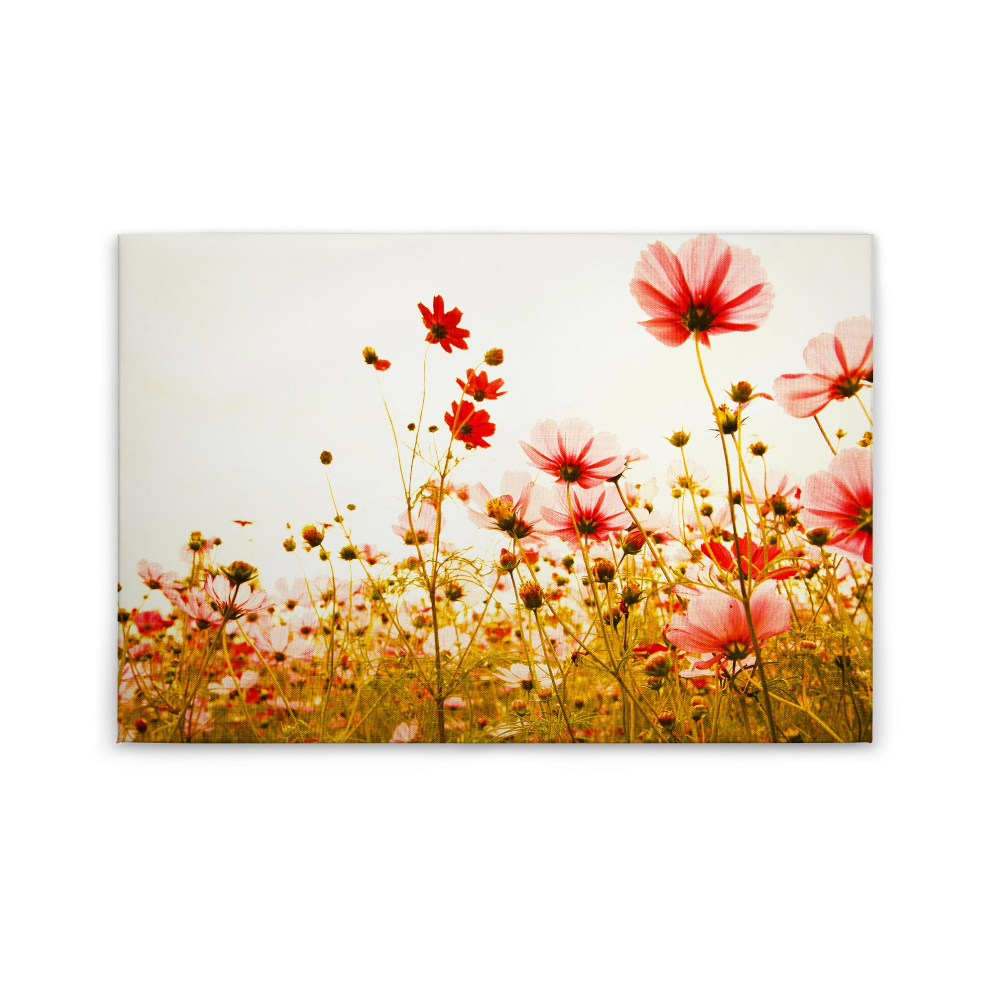 Tadessi Leinwandbild Floral Natur - 60 x 90 cm - M1-No.50036 - Keilrahmen in Rot Grün