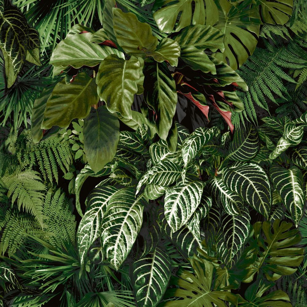 Grandeco | Ciara | A58601 | Intissé Papier peint | Jungle | 10.05 x 0.53 m | Vert