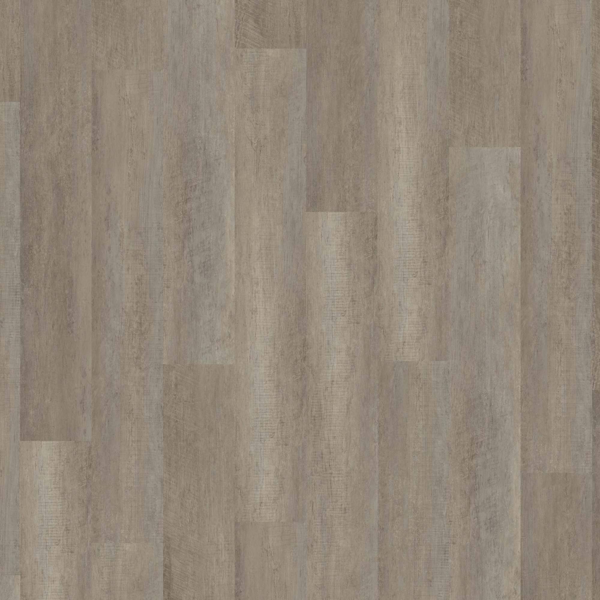 Vinylboden 24H3 8034H Designbelag 1219.2 x 184.2 x 2 mm Klebe Vinyl Holzoptik Grau NKL31