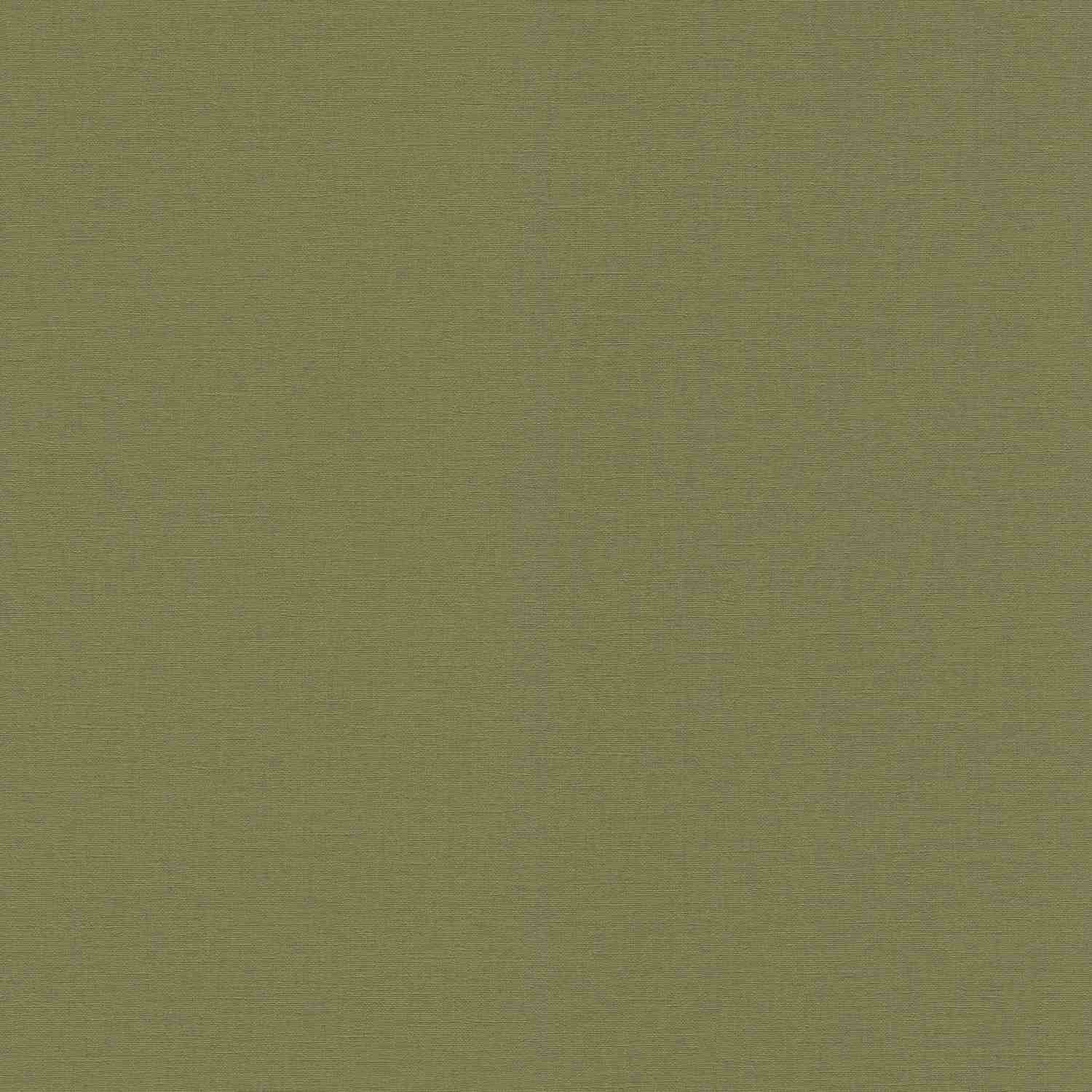 Rasch Salsa 452068 Carta da parati in tessuto non tessuto Tinta unita Tinta unita 0,53 x 10,05 m Verde